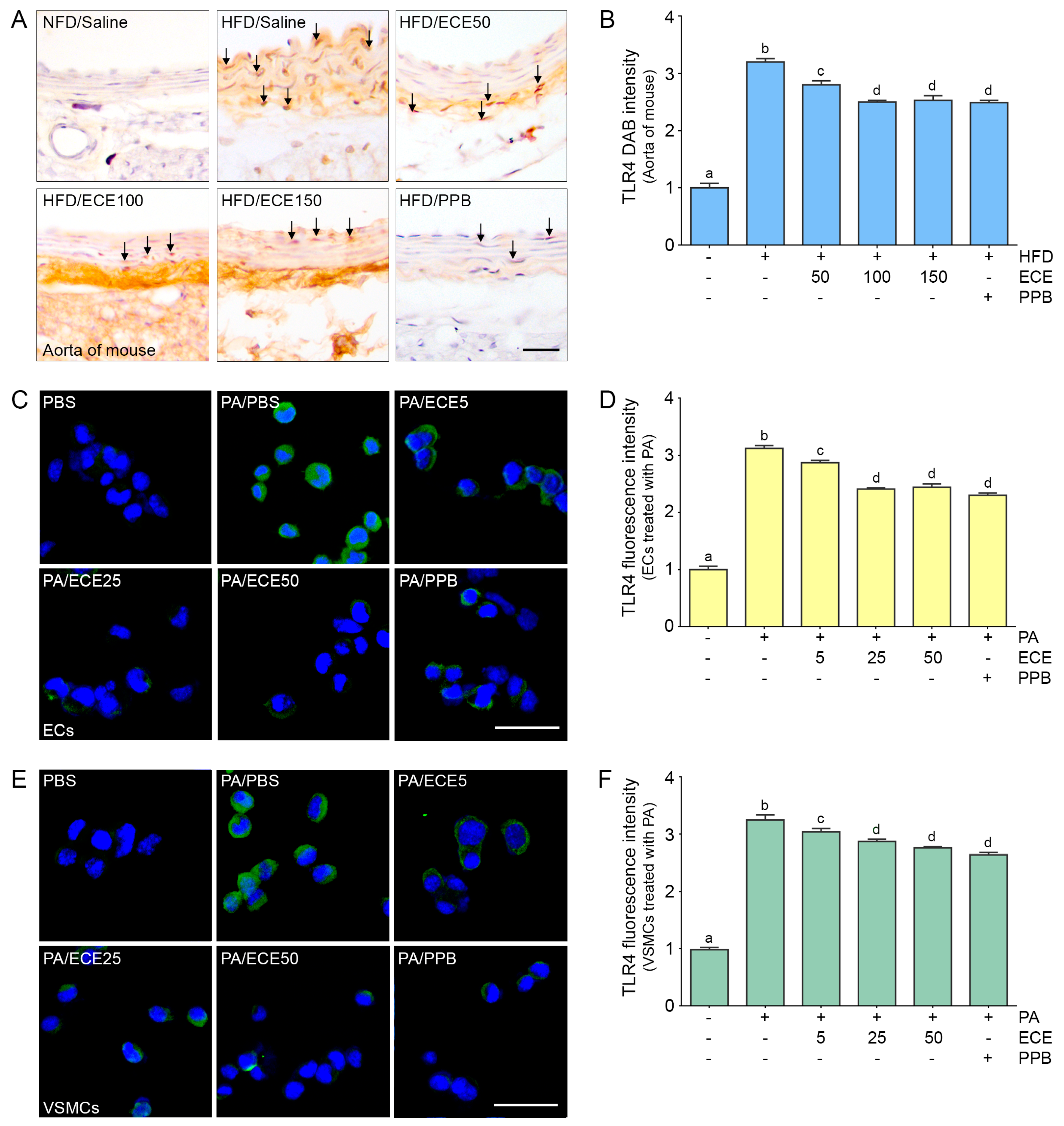 Marinedrugs 18 00648 g001 Marinedrugs 18 00648 g001
