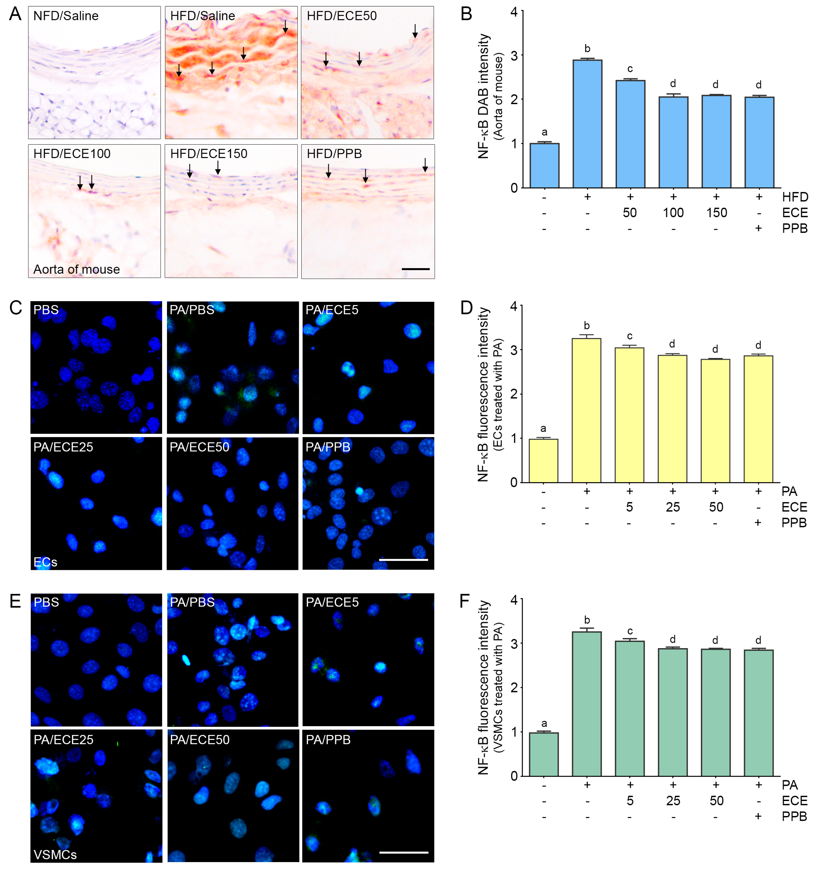Marinedrugs 18 00648 g002 Marinedrugs 18 00648 g002