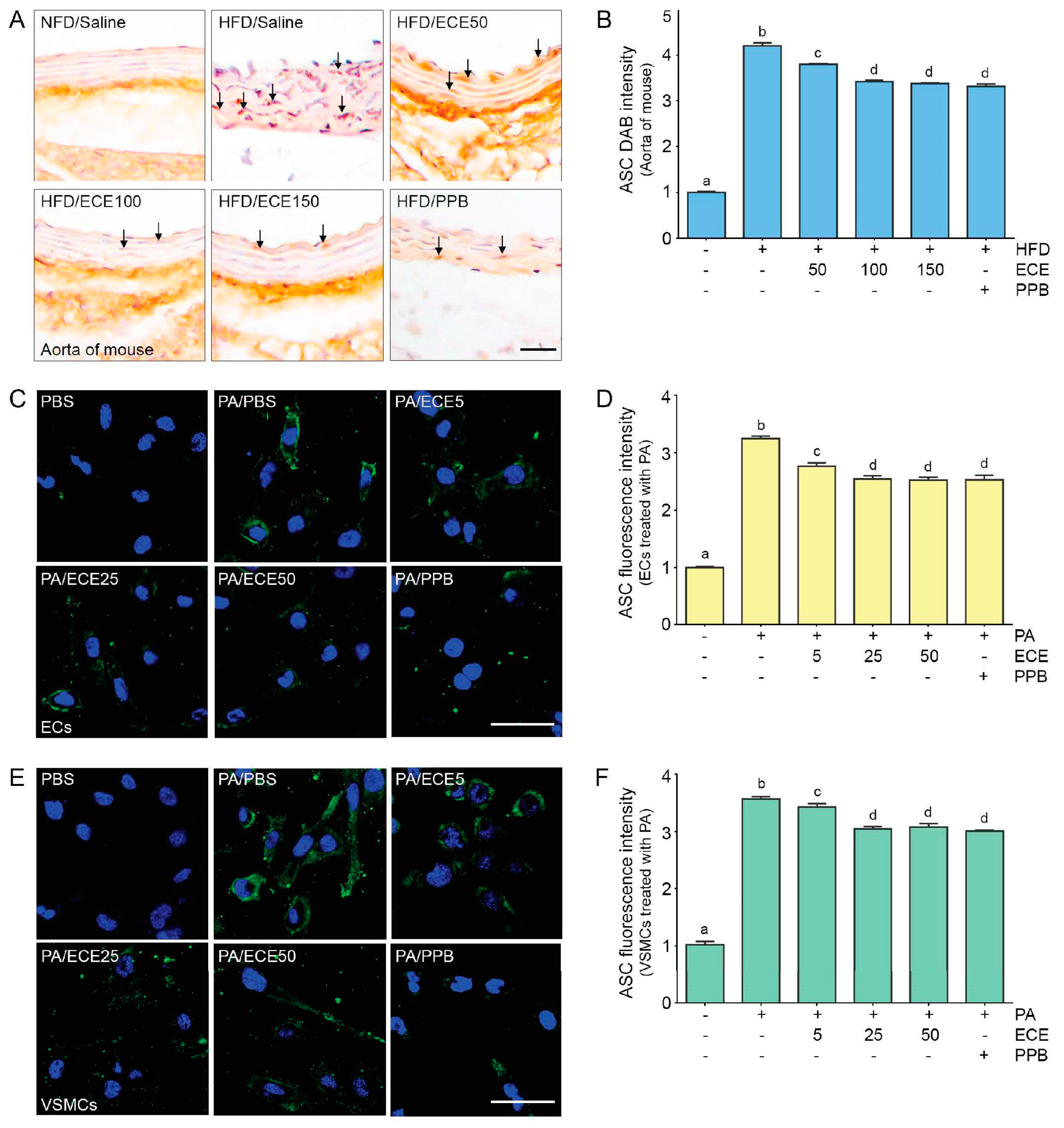 Marinedrugs 18 00648 g004 Marinedrugs 18 00648 g004