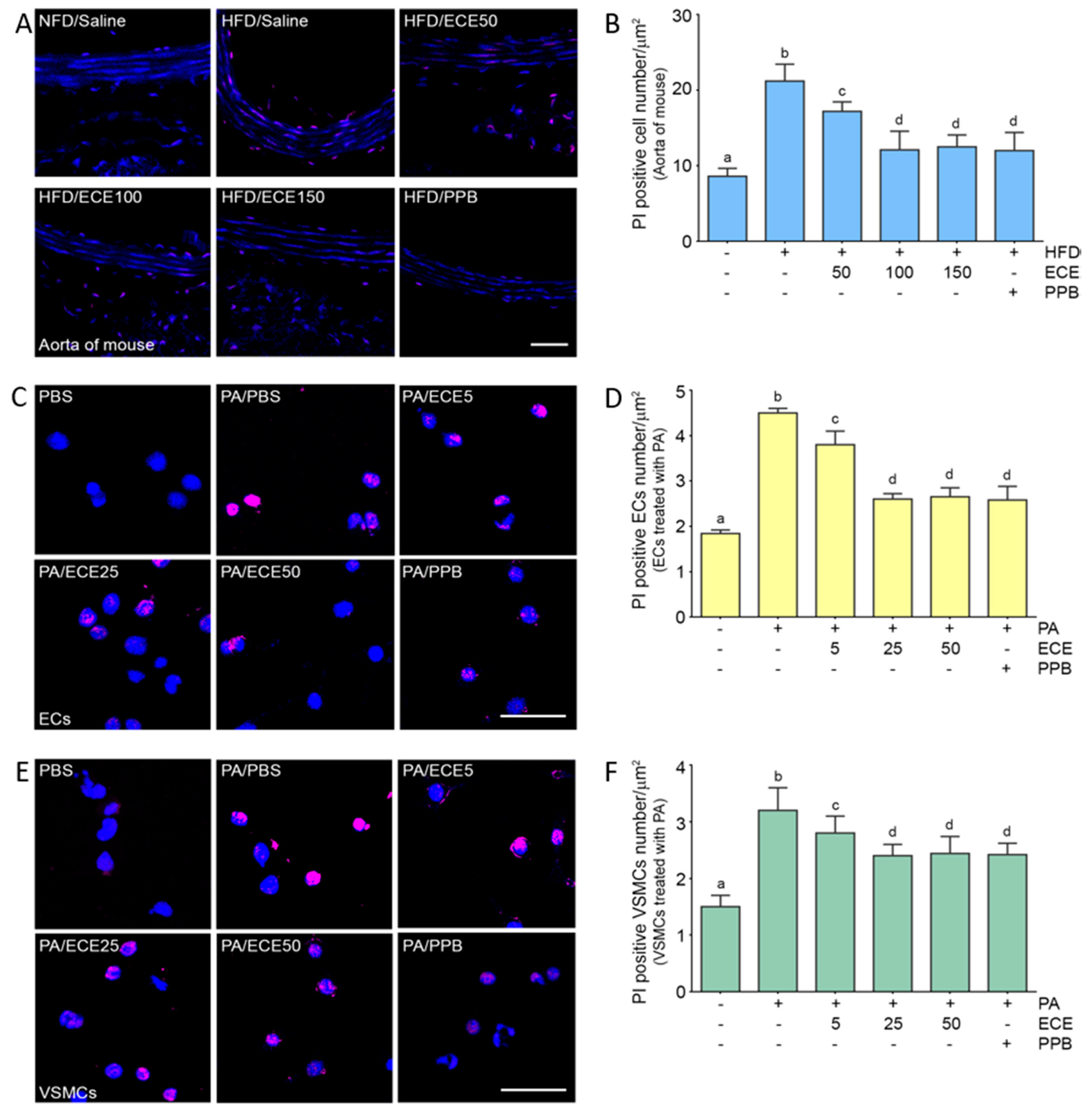 Marinedrugs 18 00648 g006 Marinedrugs 18 00648 g006