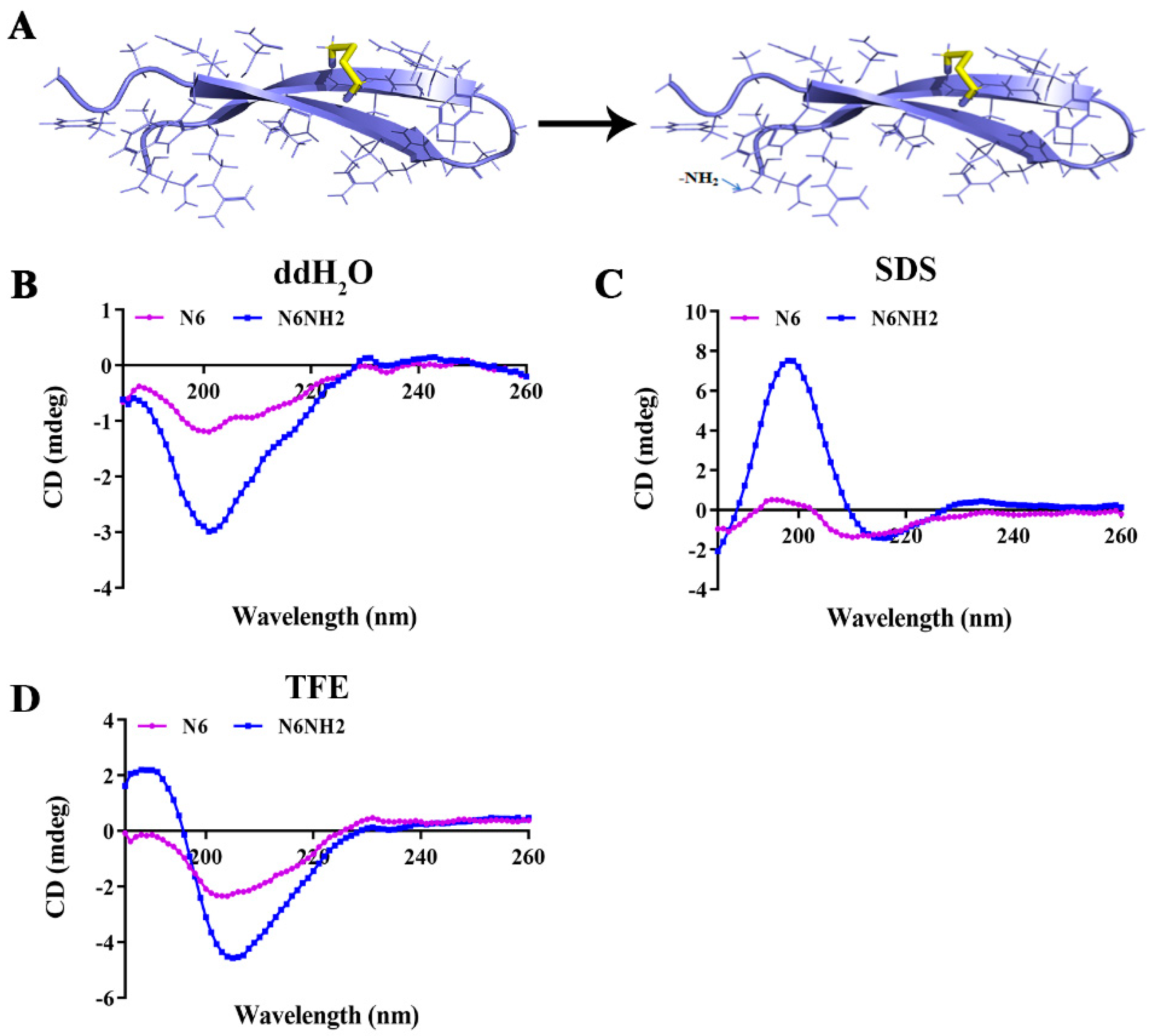 Marinedrugs 18 00650 g001