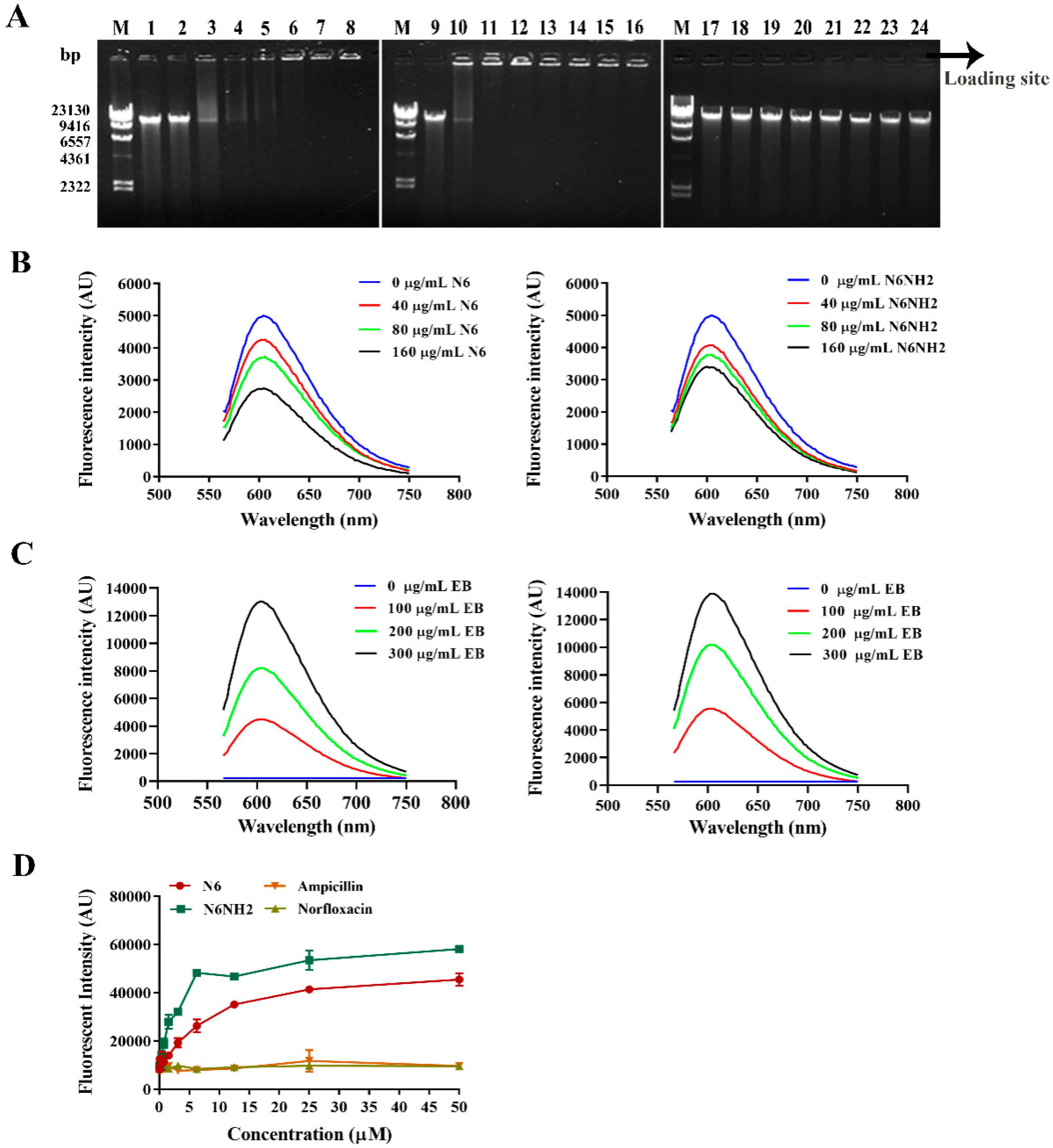 Marinedrugs 18 00650 g004