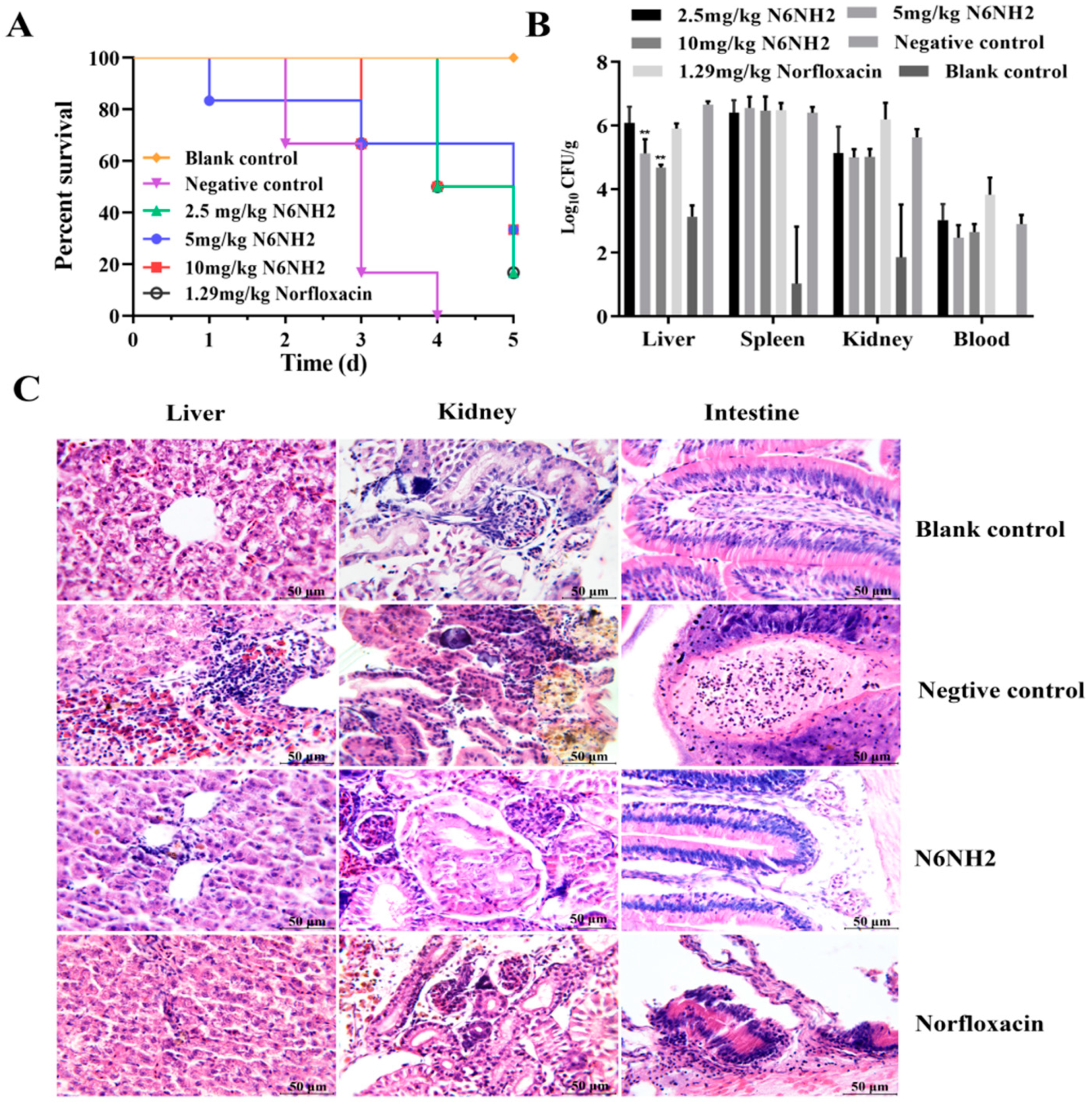 Marinedrugs 18 00650 g006