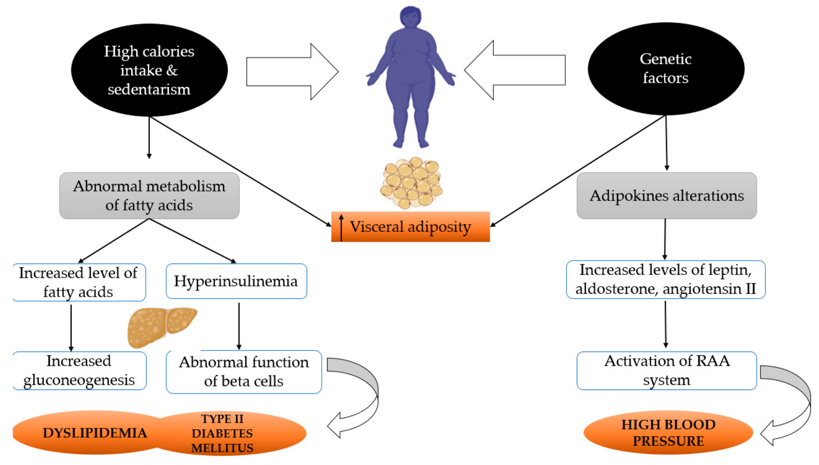 Marinedrugs 18 00651 g002 Marinedrugs 18 00651 g002