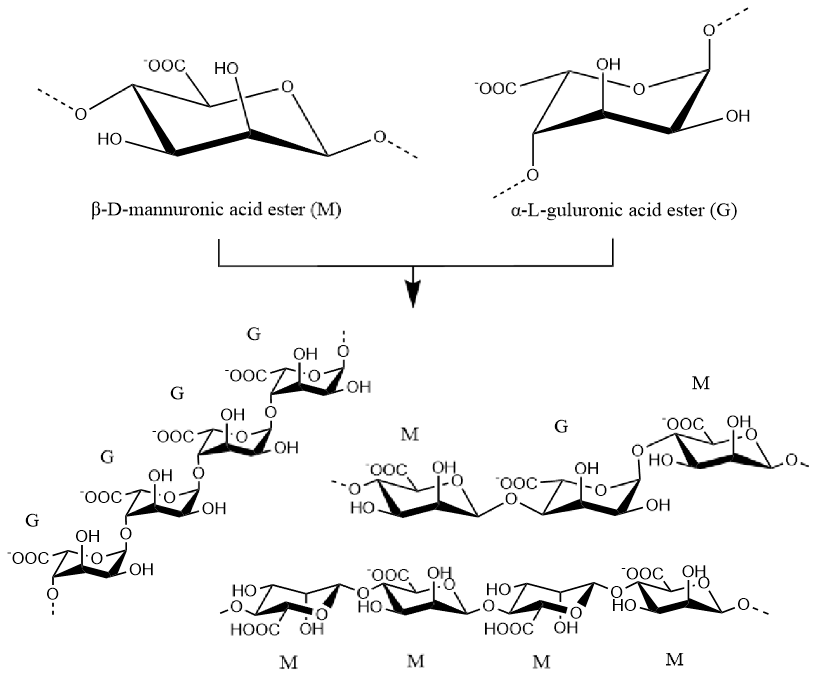 Marinedrugs 18 00658 g003 Marinedrugs 18 00658 g003