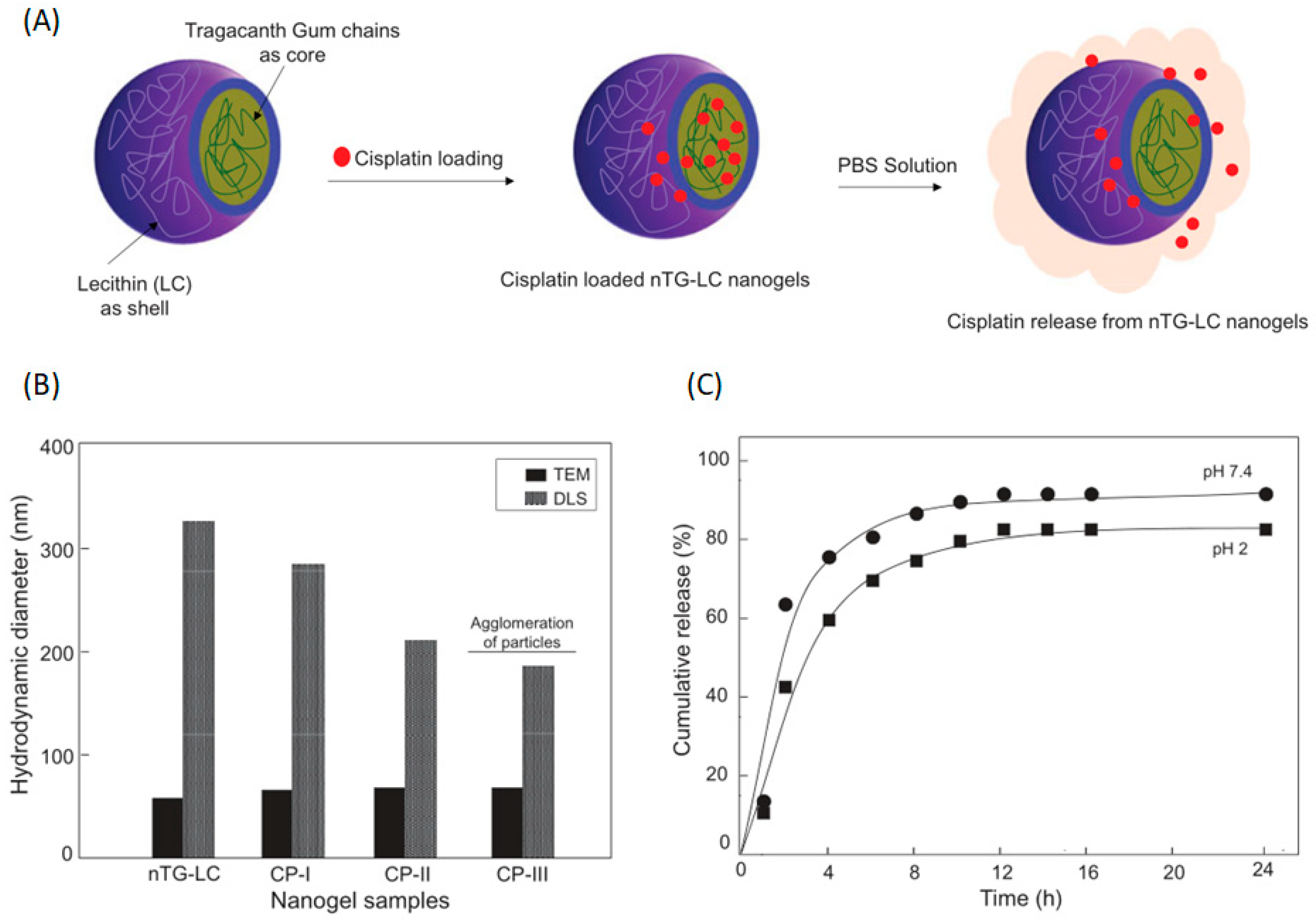 Marinedrugs 18 00658 g007 Marinedrugs 18 00658 g007