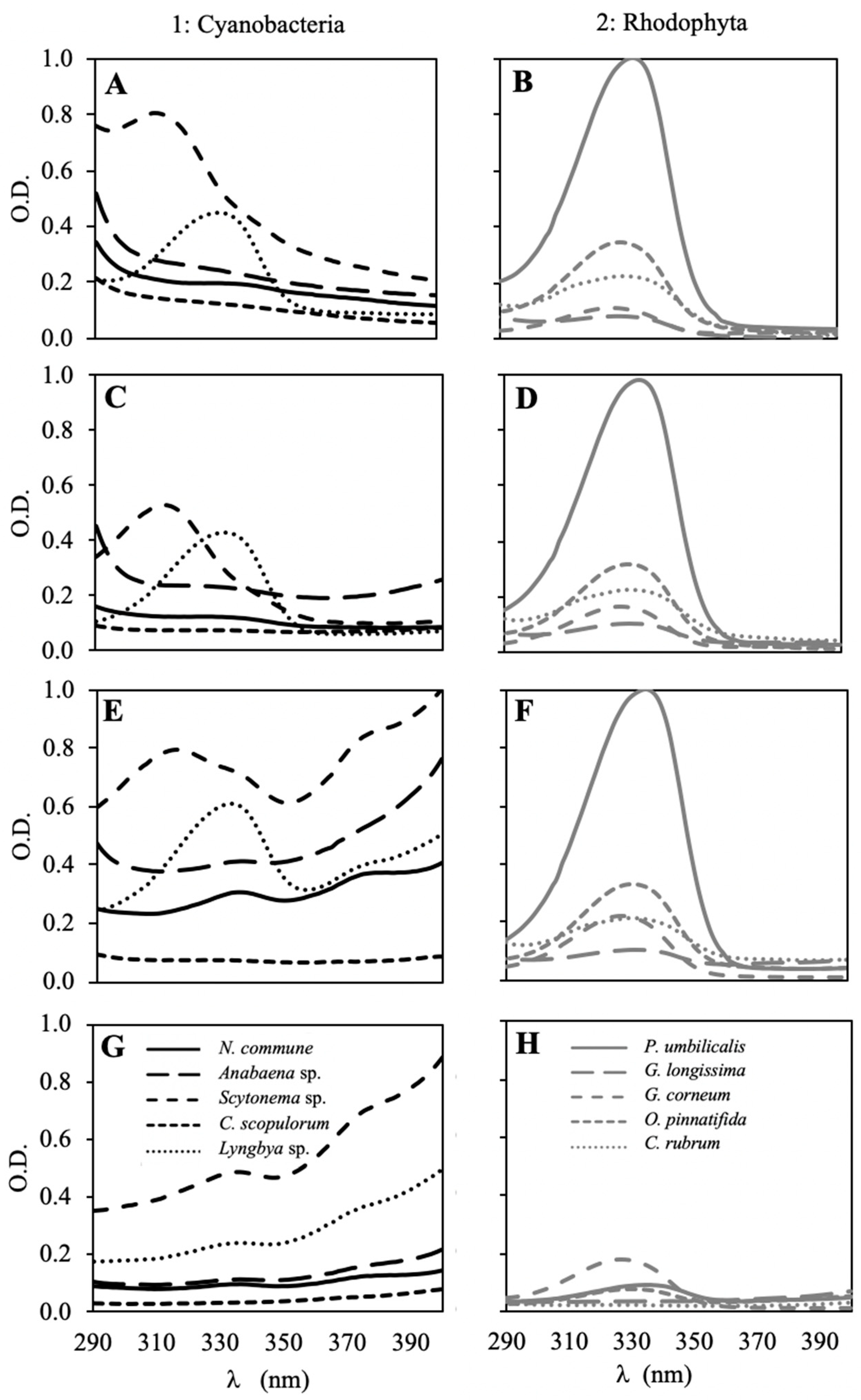 Marinedrugs 18 00659 g001 Marinedrugs 18 00659 g001