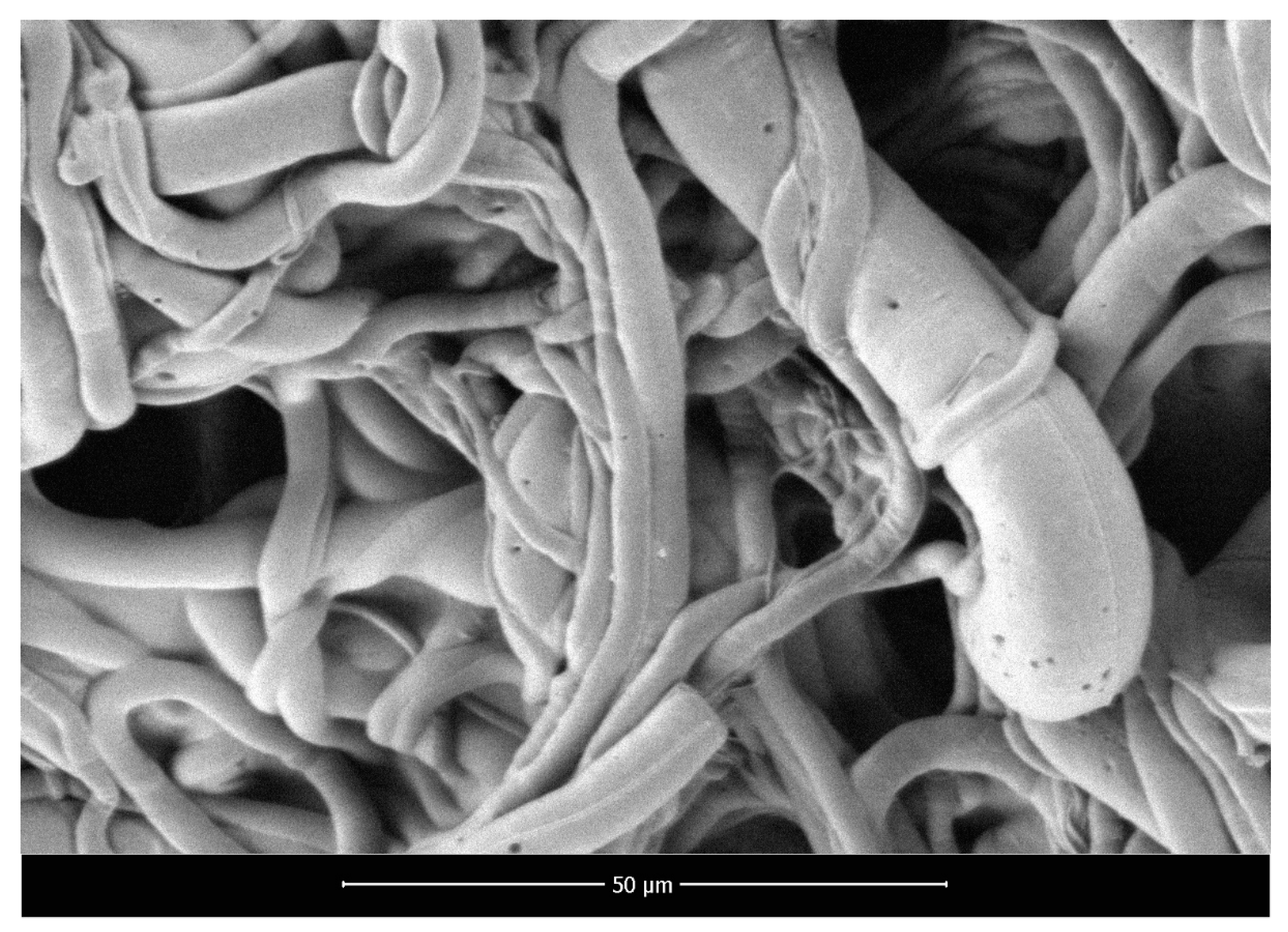 Marinedrugs 18 00660 g002