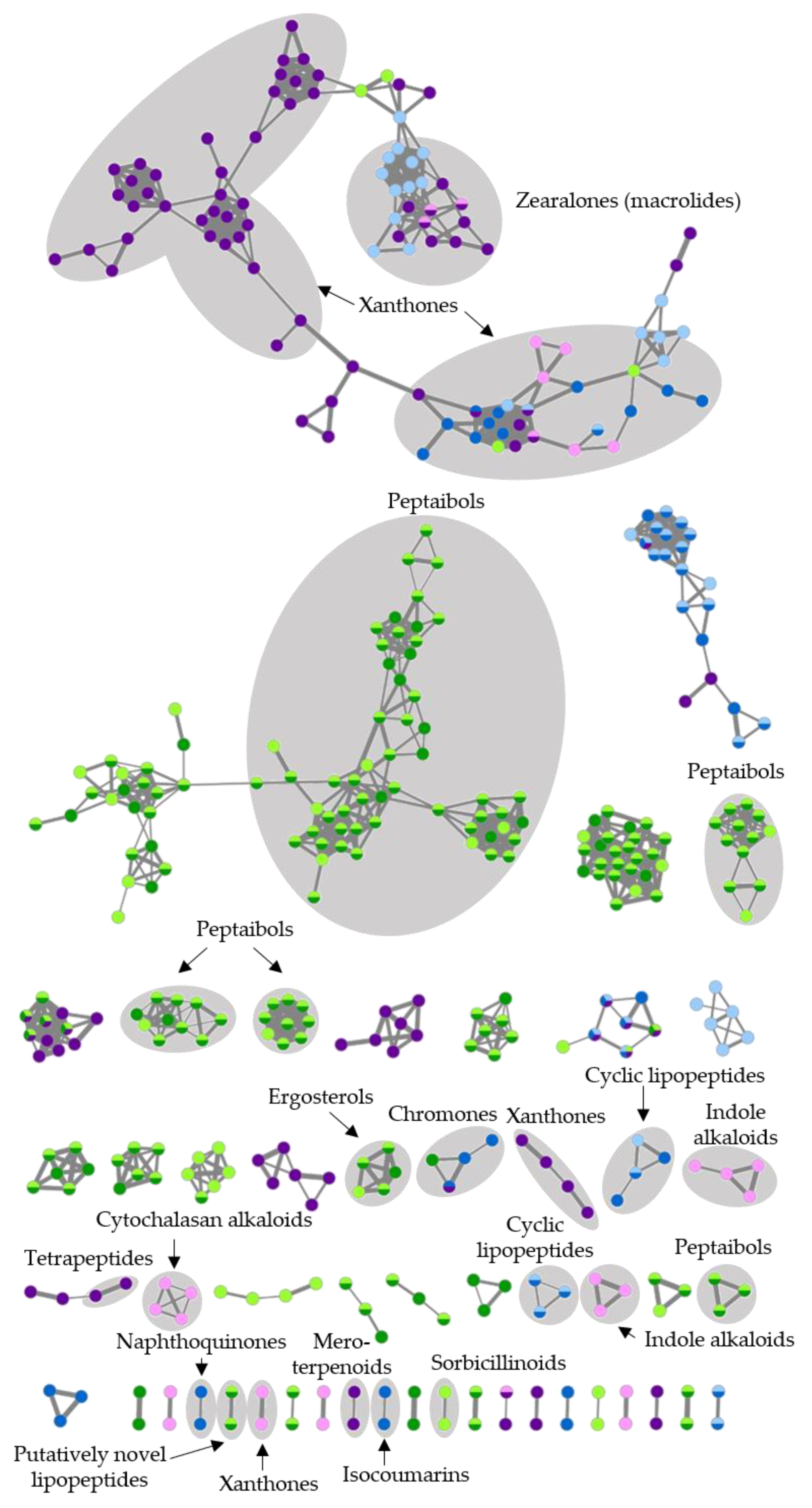 Marinedrugs 19 00006 g007 Marinedrugs 19 00006 g007