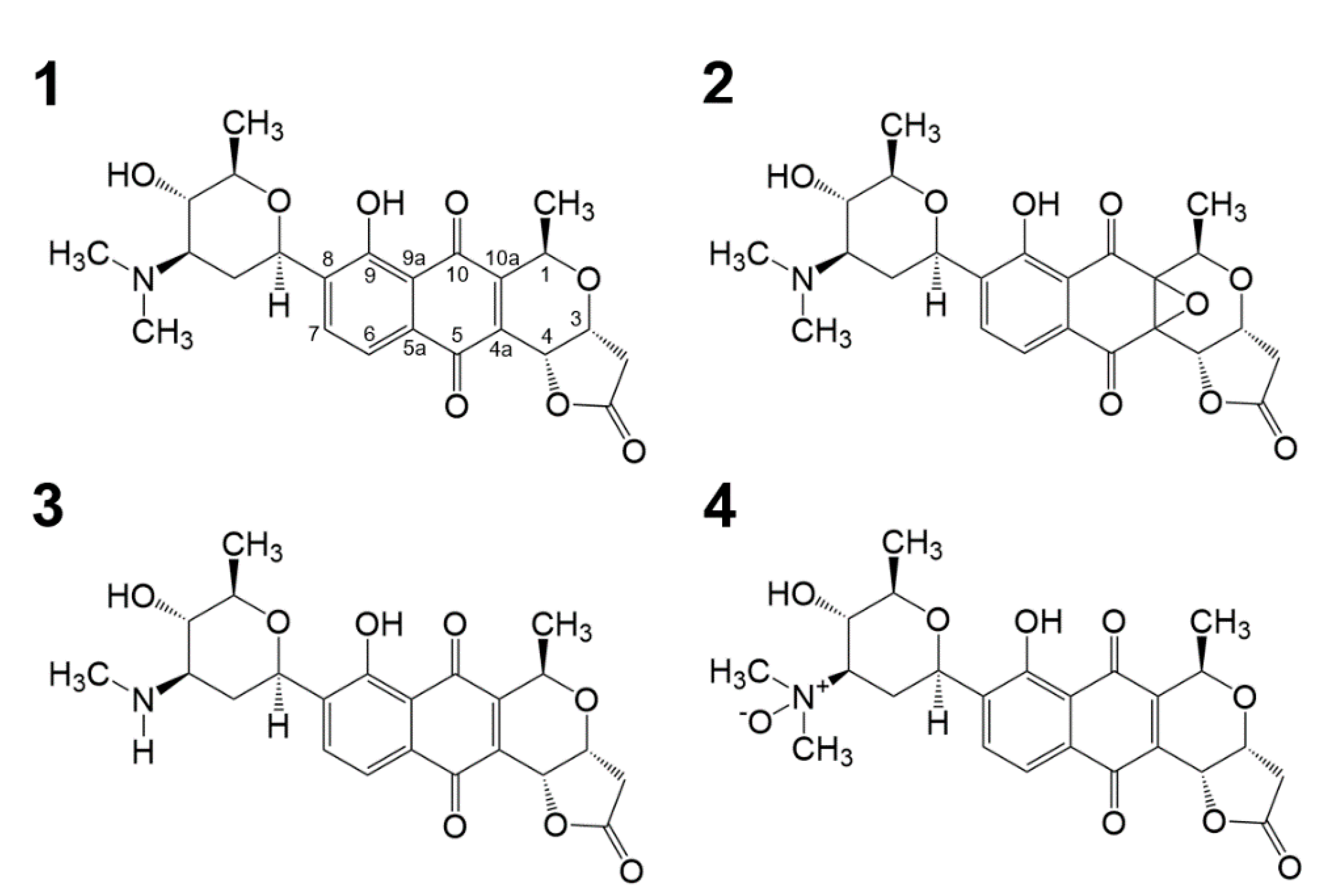 Marinedrugs 19 00007 g001 Marinedrugs 19 00007 g001