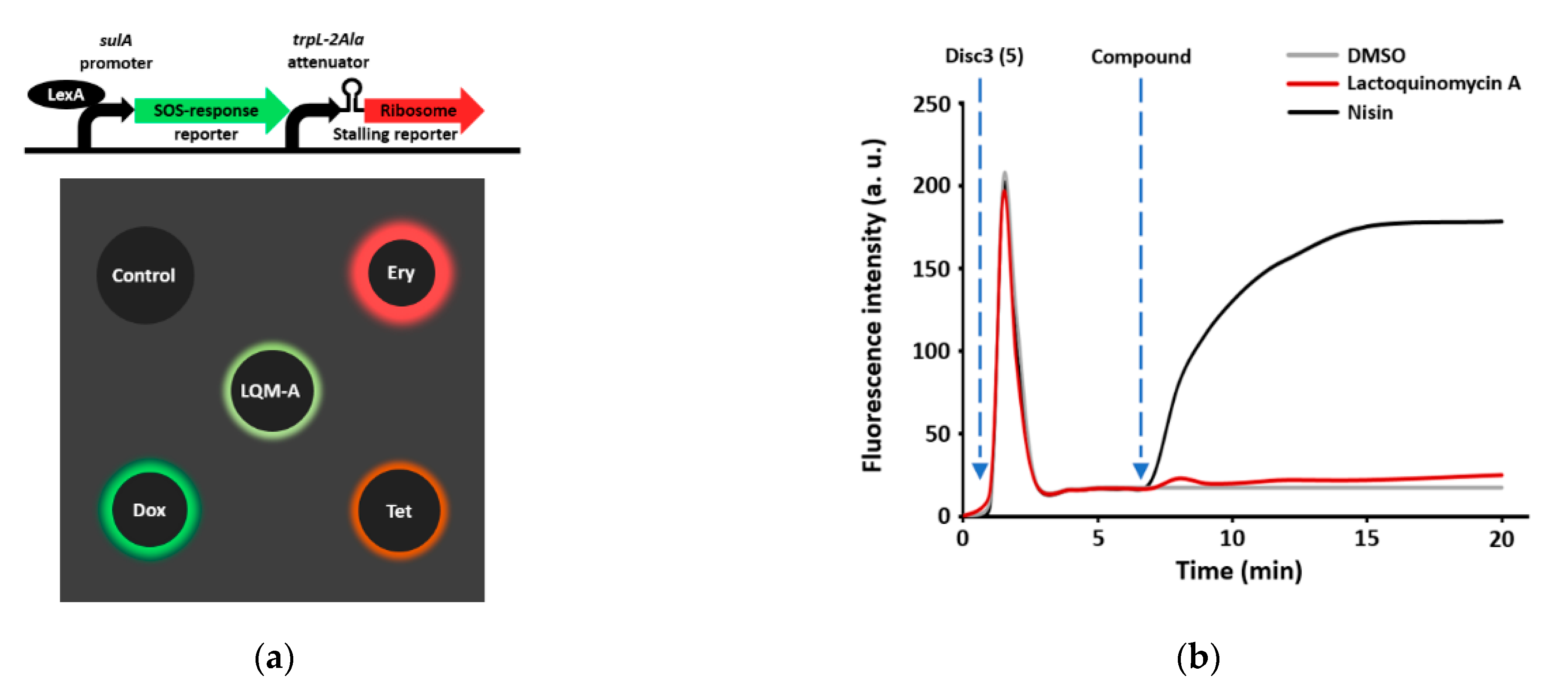 Marinedrugs 19 00007 g003 Marinedrugs 19 00007 g003
