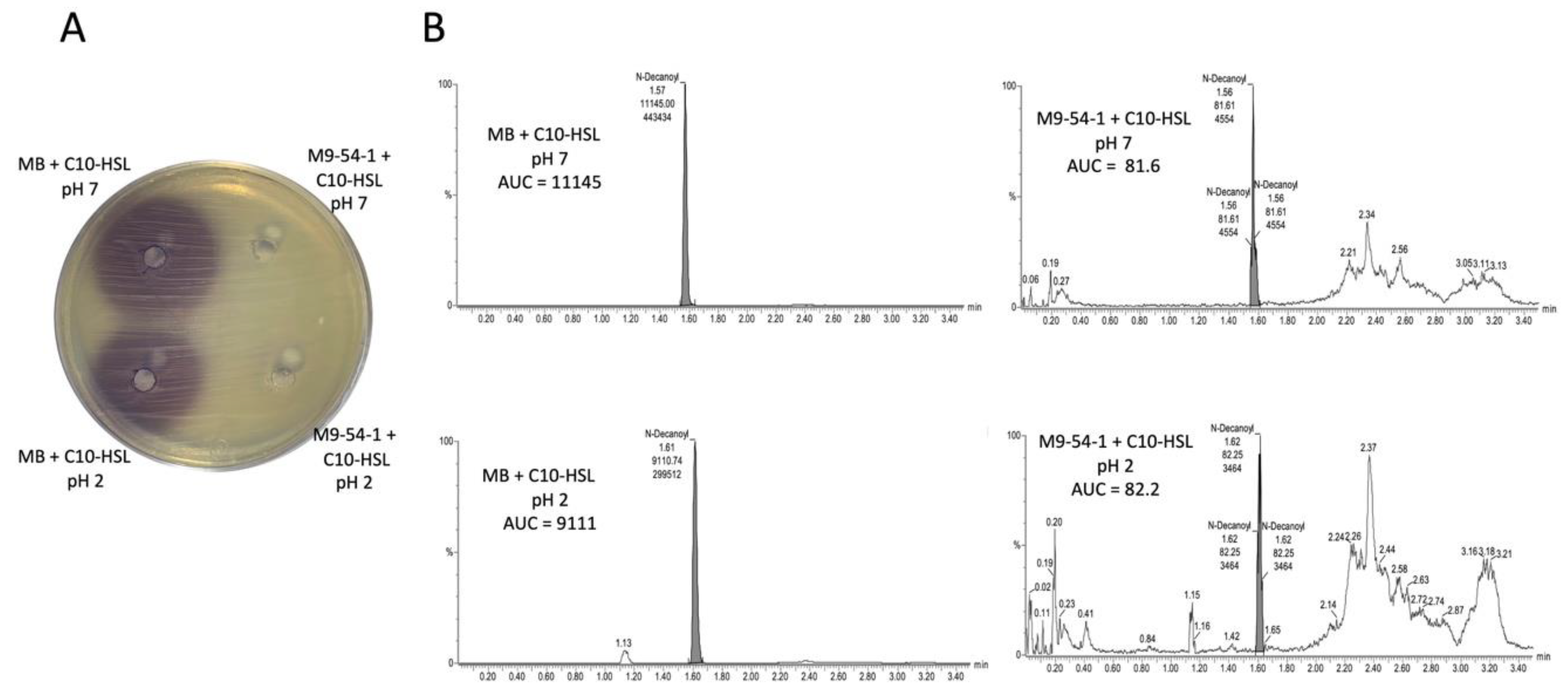 Marinedrugs 19 00016 g002 Marinedrugs 19 00016 g002