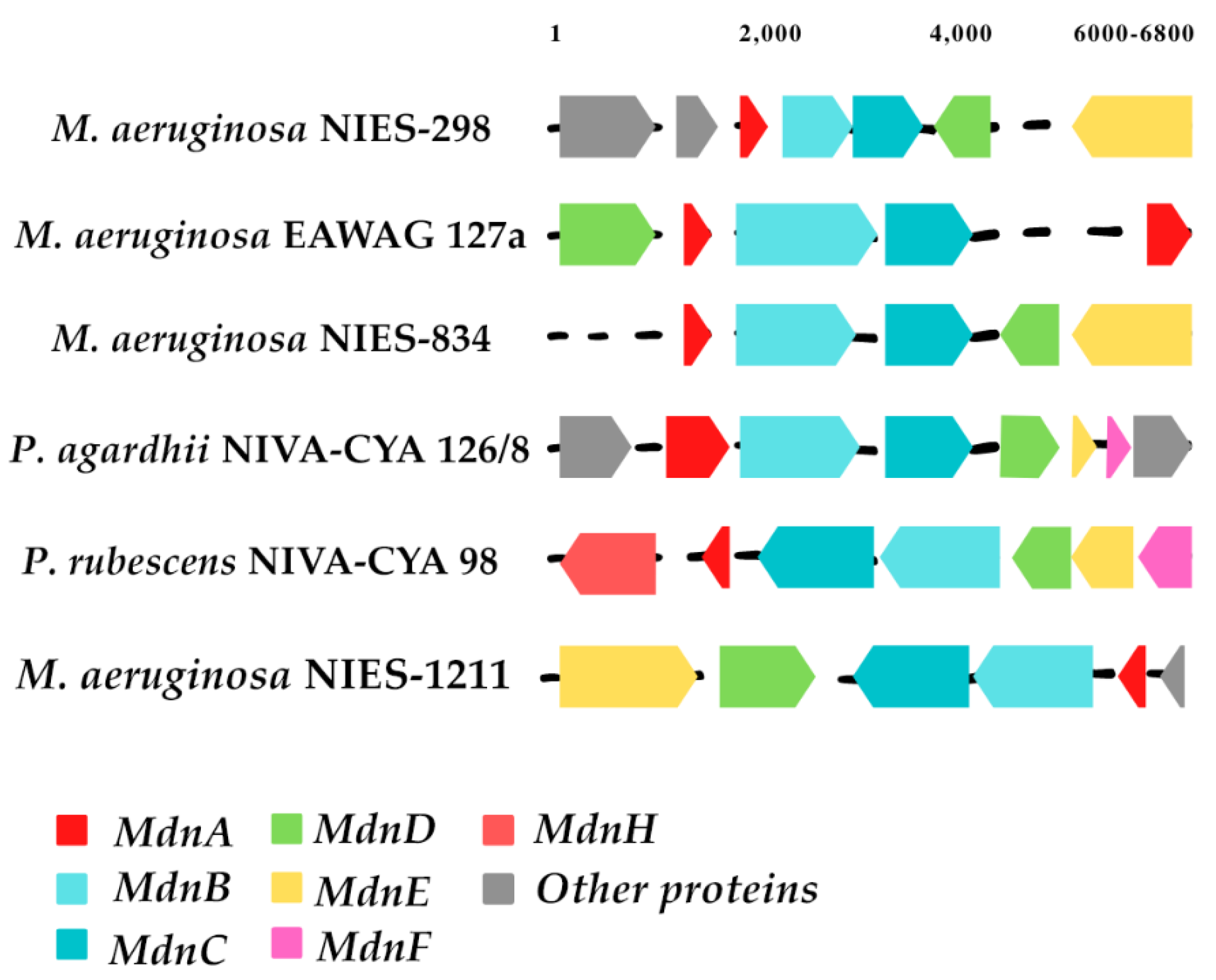 Marinedrugs 19 00017 g006