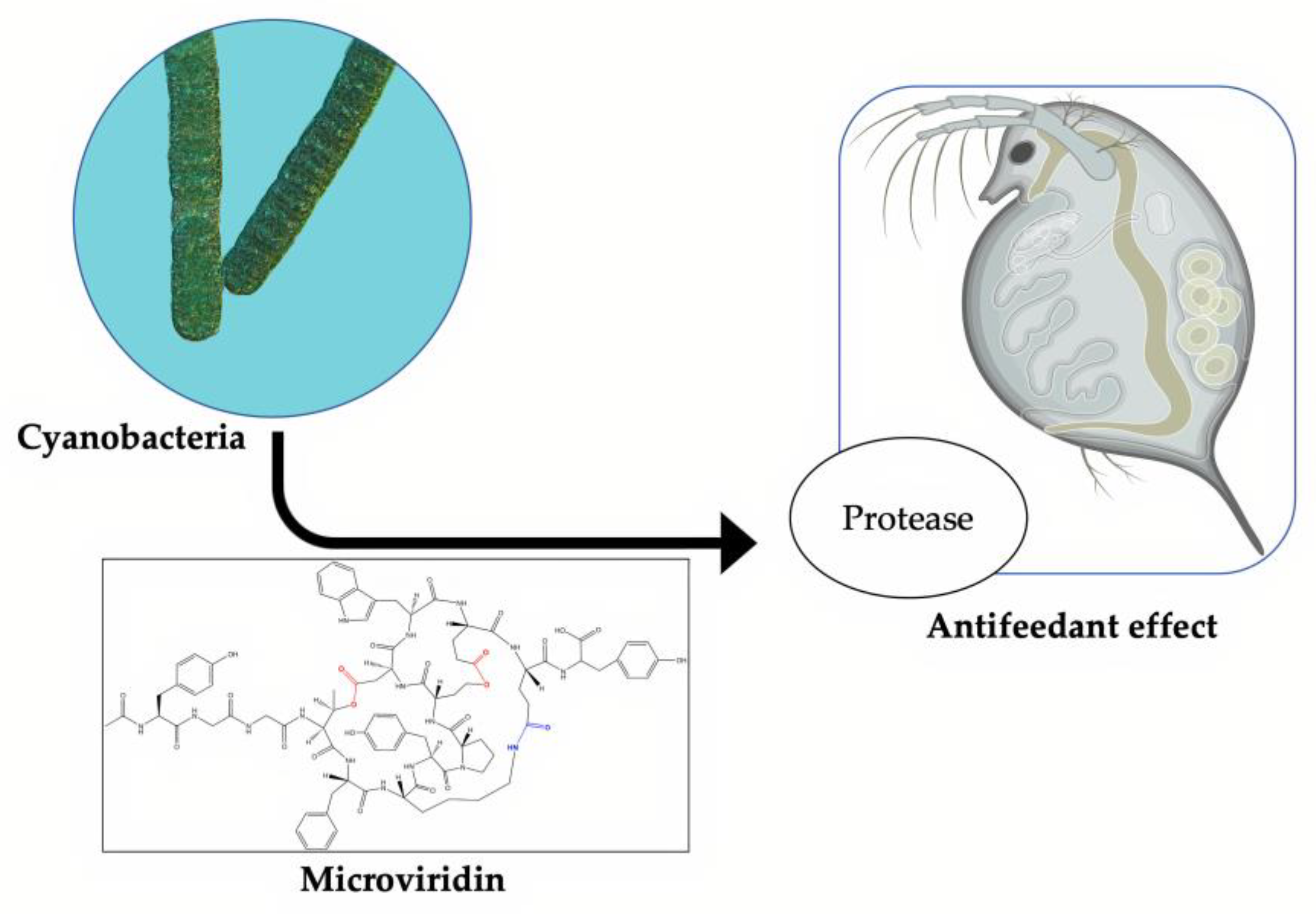 Marinedrugs 19 00017 g009