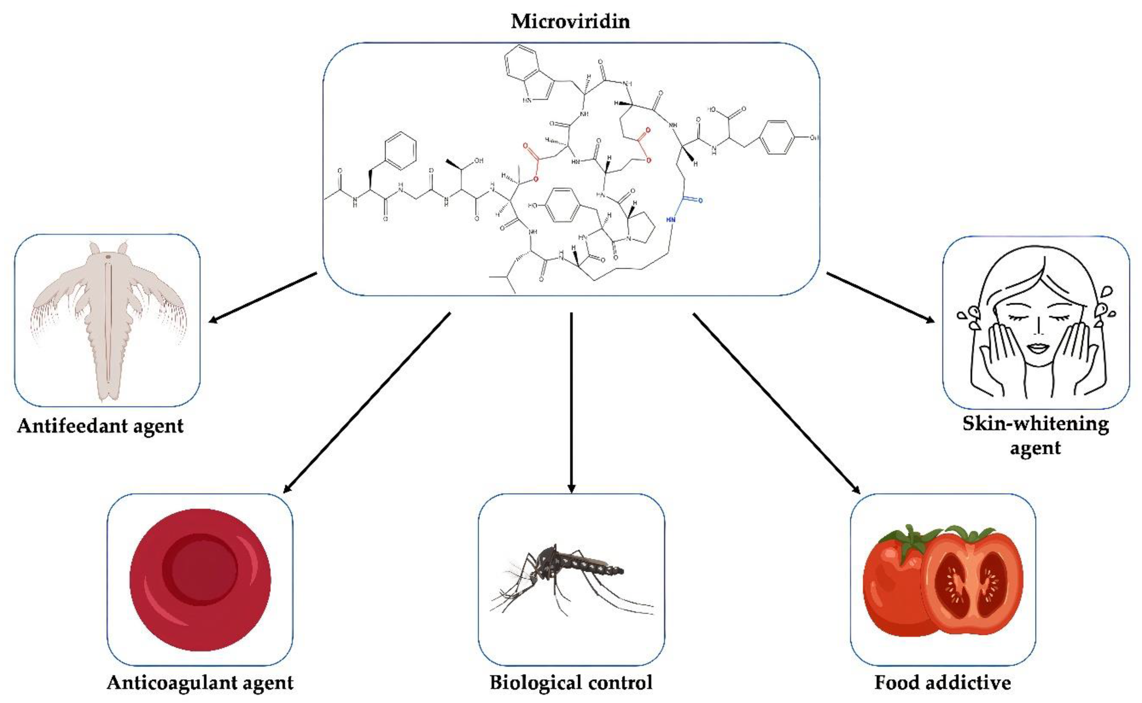 Marinedrugs 19 00017 g010