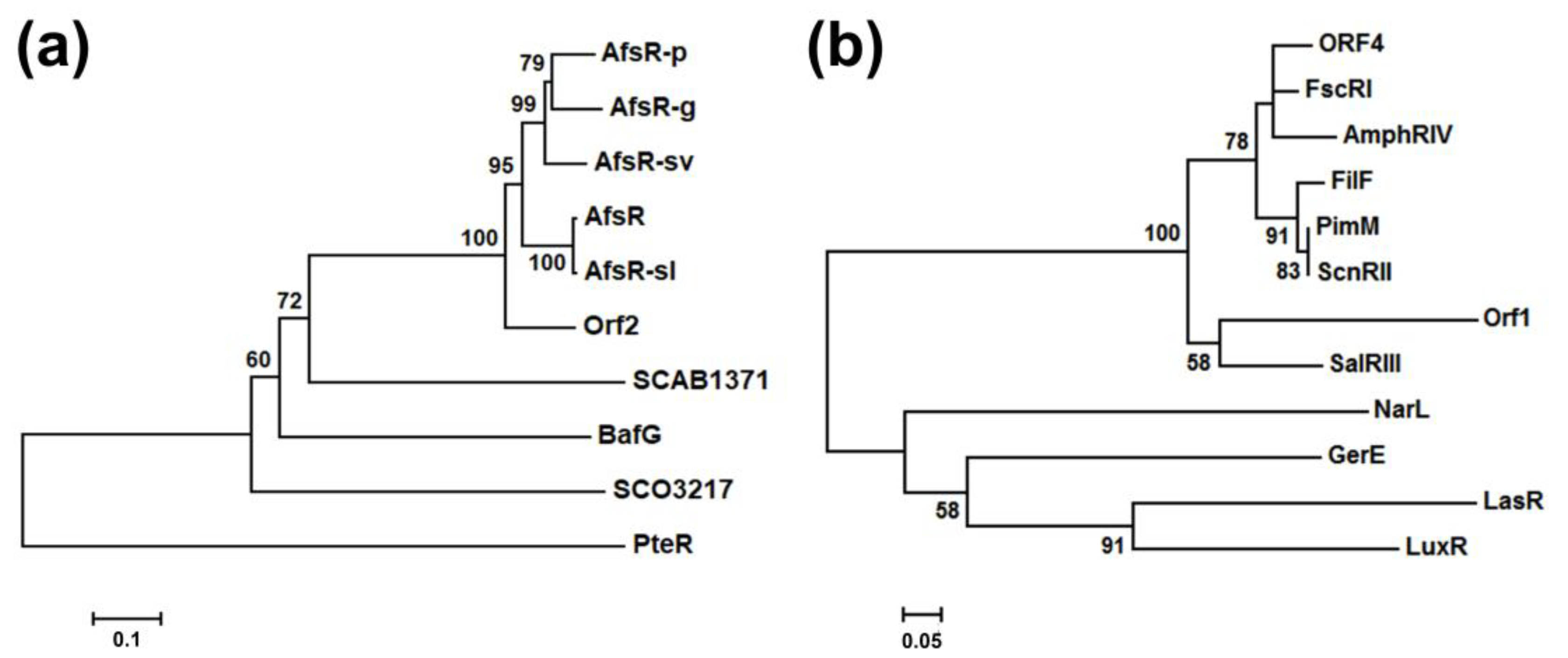 Marinedrugs 19 00029 g004 Marinedrugs 19 00029 g004