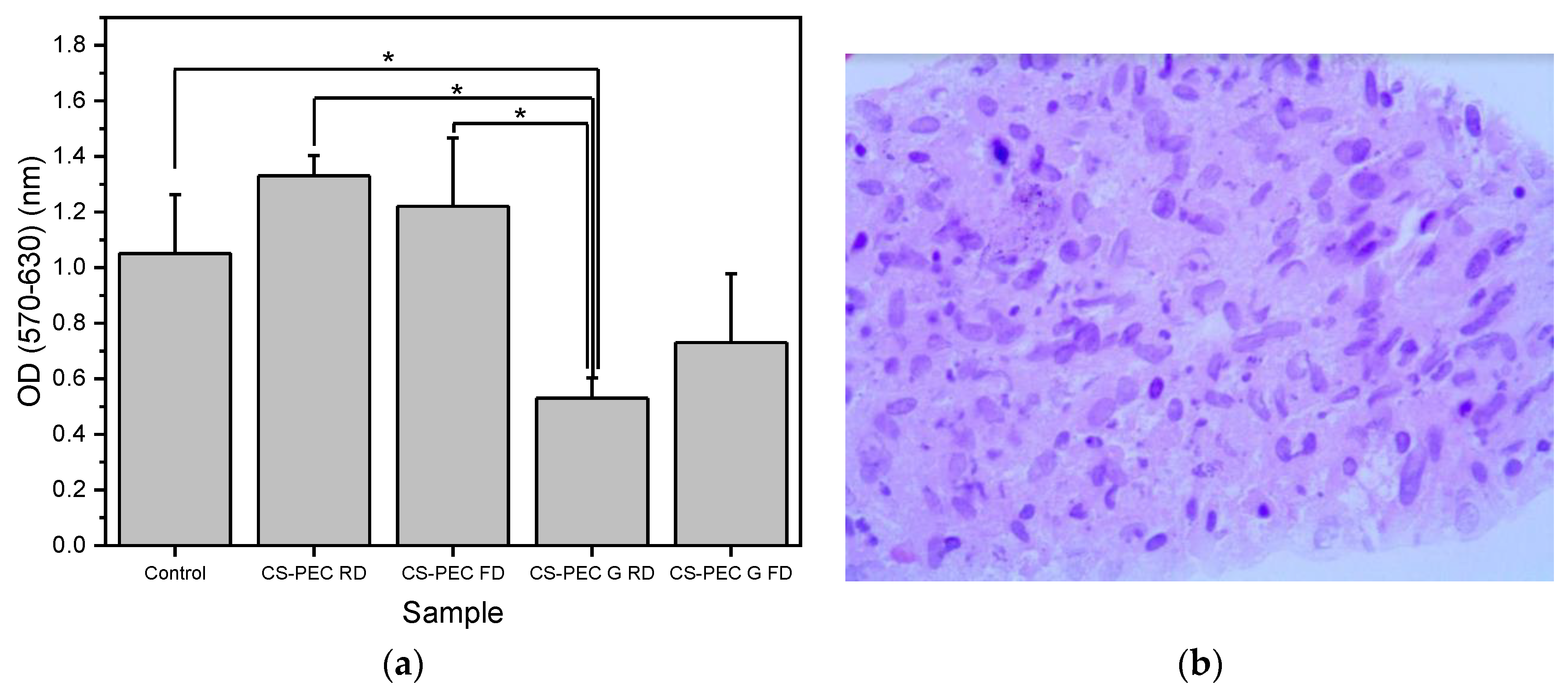Marinedrugs 19 00036 g011