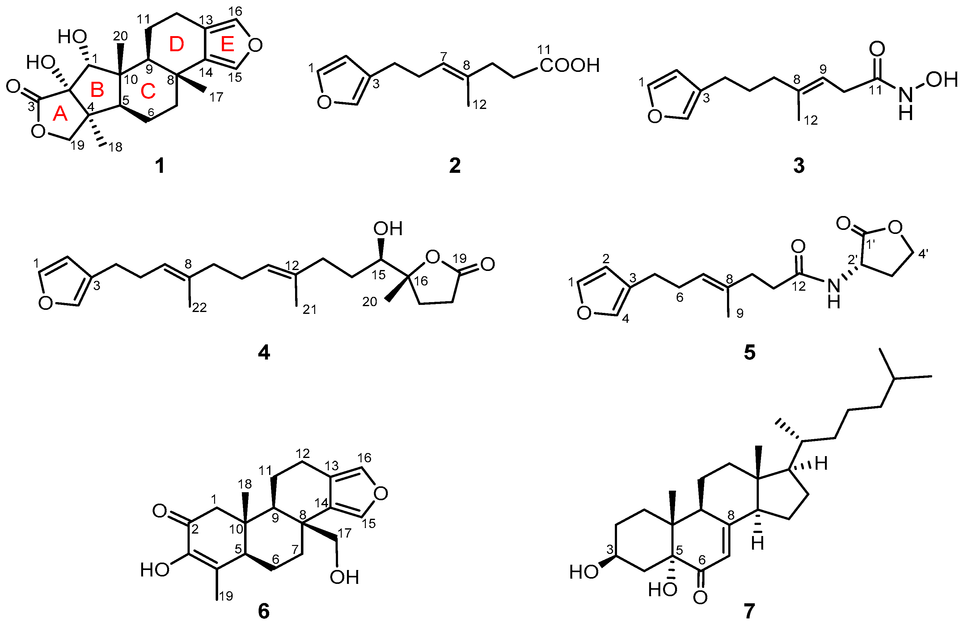 Marinedrugs 19 00038 g001