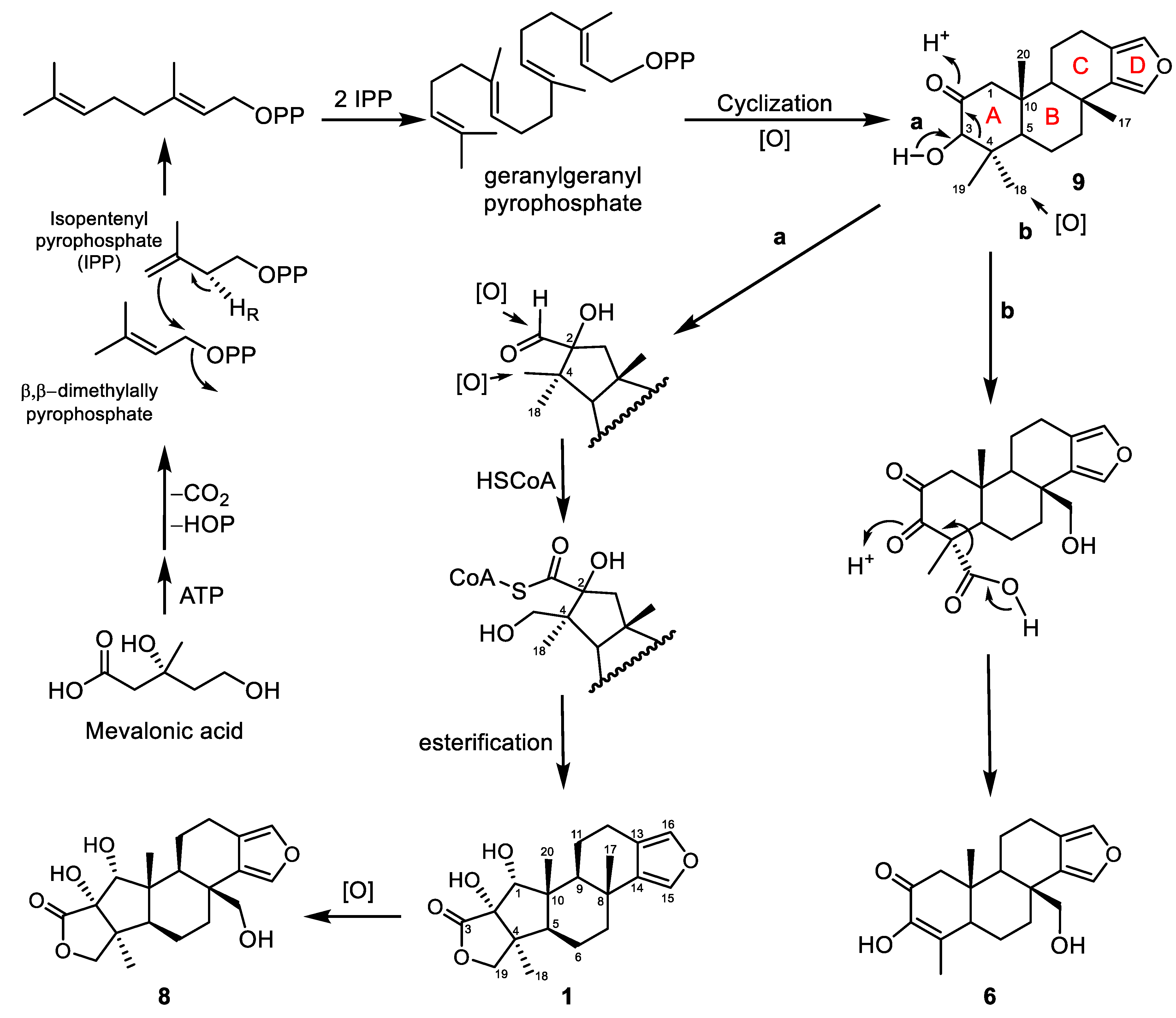 Marinedrugs 19 00038 sch001