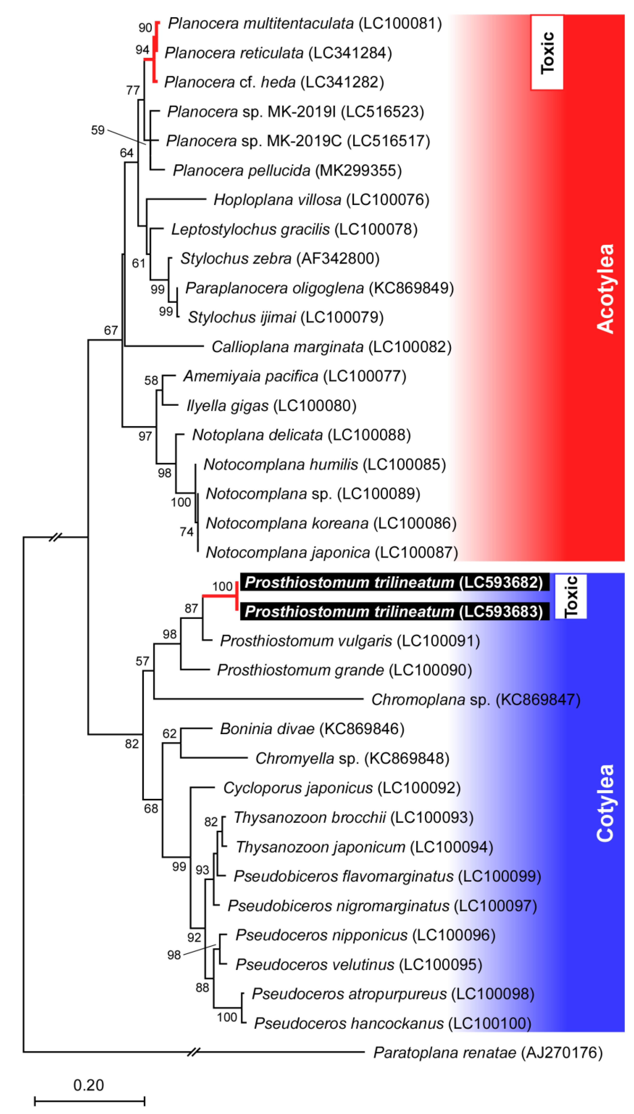 Marinedrugs 19 00040 g002 Marinedrugs 19 00040 g002
