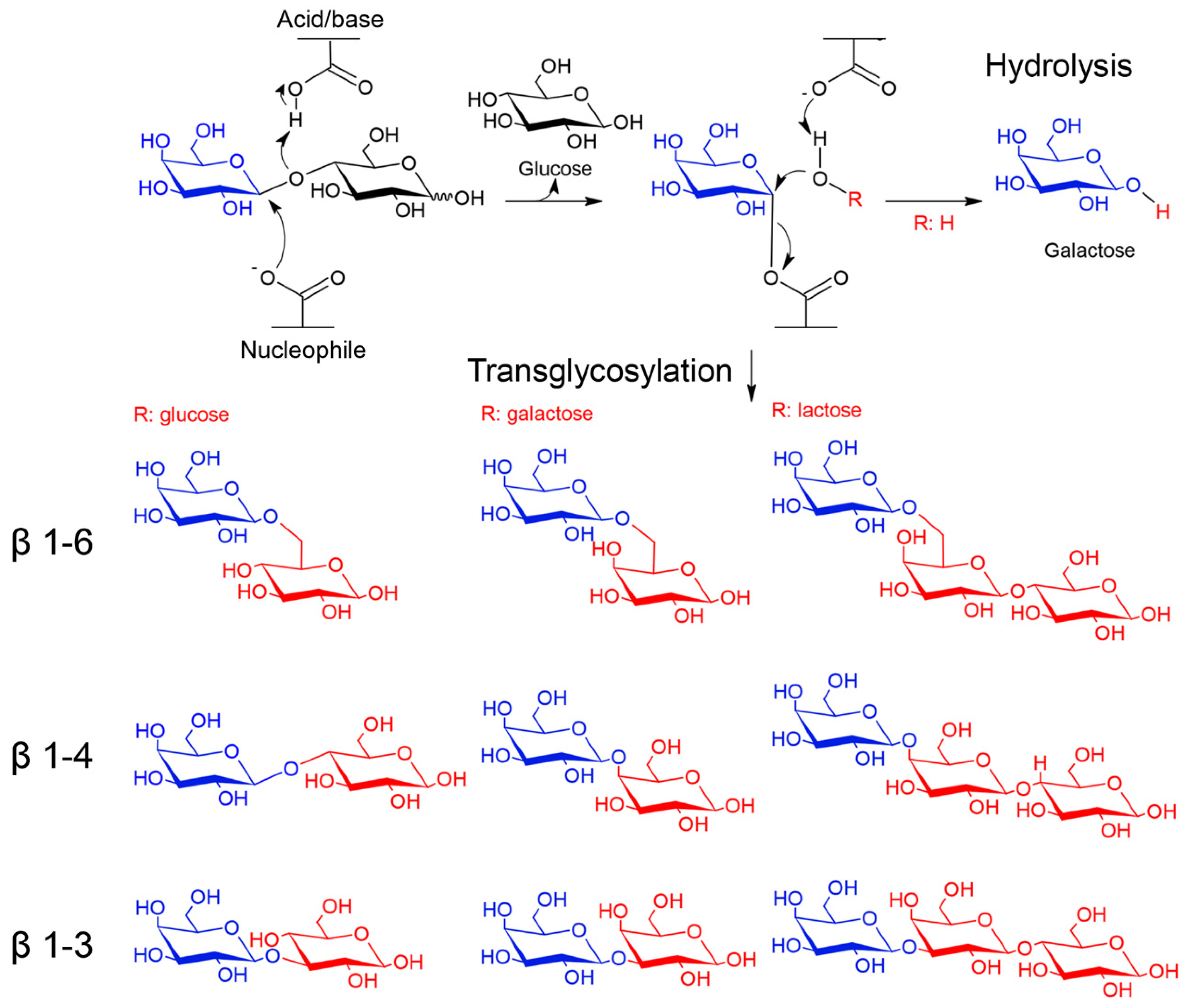 Marinedrugs 19 00043 g002 Marinedrugs 19 00043 g002