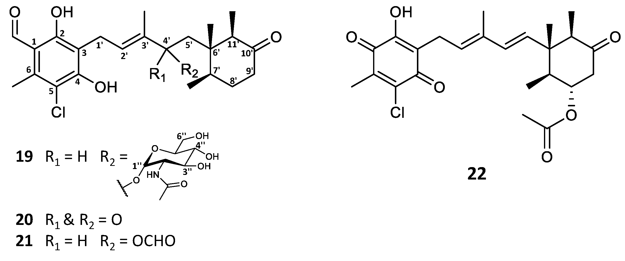 Marinedrugs 19 00046 g002 Marinedrugs 19 00046 g002