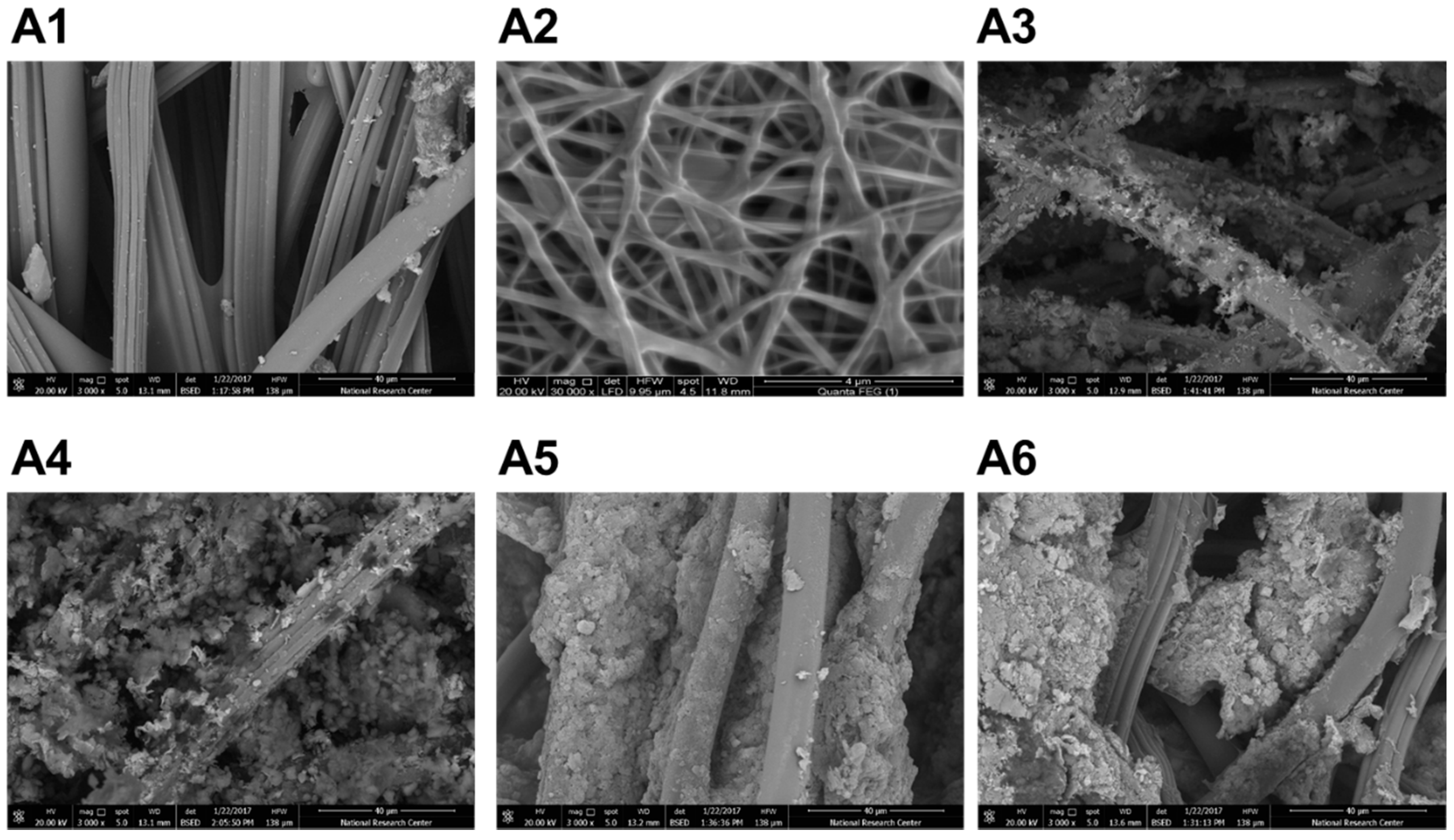 Marinedrugs 19 00050 g001