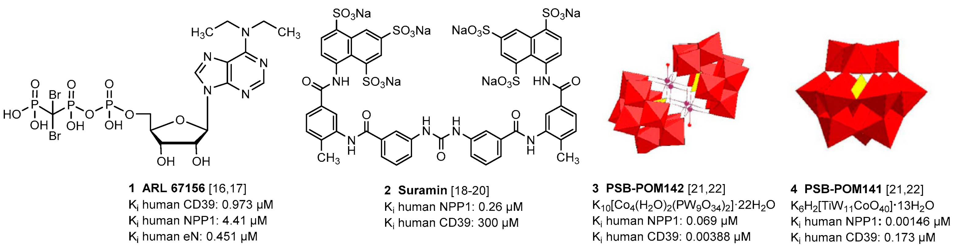 Marinedrugs 19 00051 g002 Marinedrugs 19 00051 g002