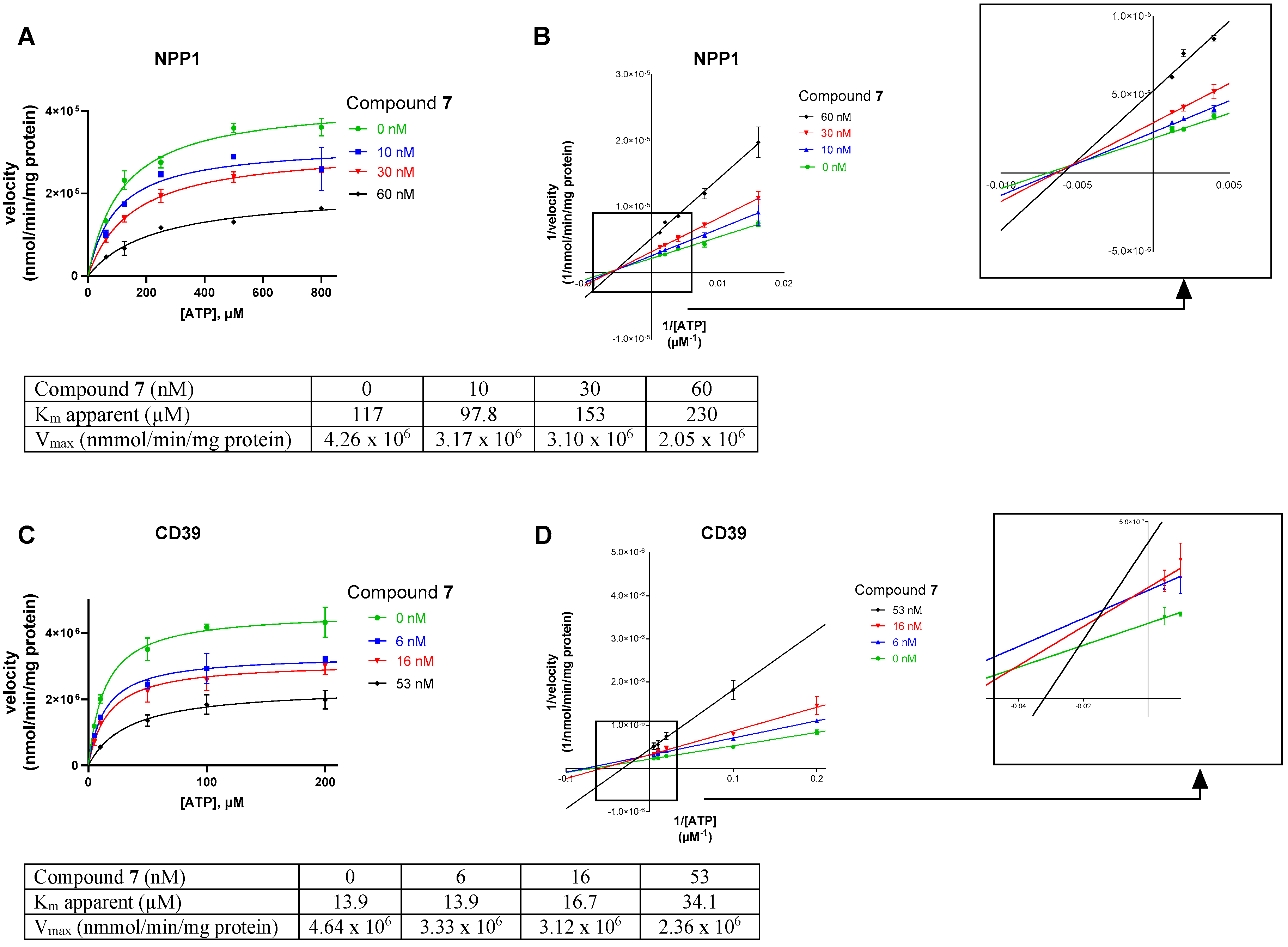 Marinedrugs 19 00051 g006 Marinedrugs 19 00051 g006