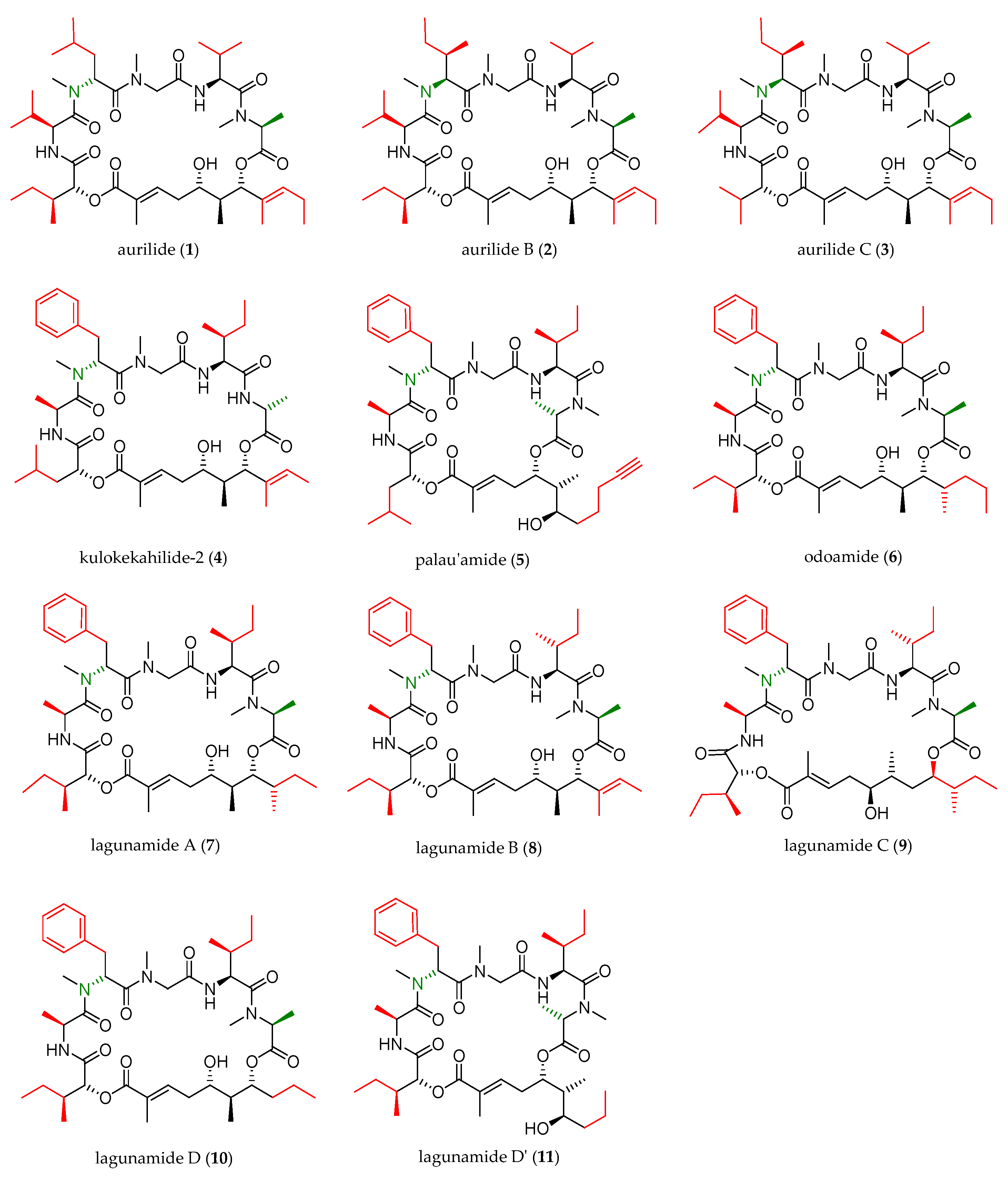 Marinedrugs 19 00055 g001
