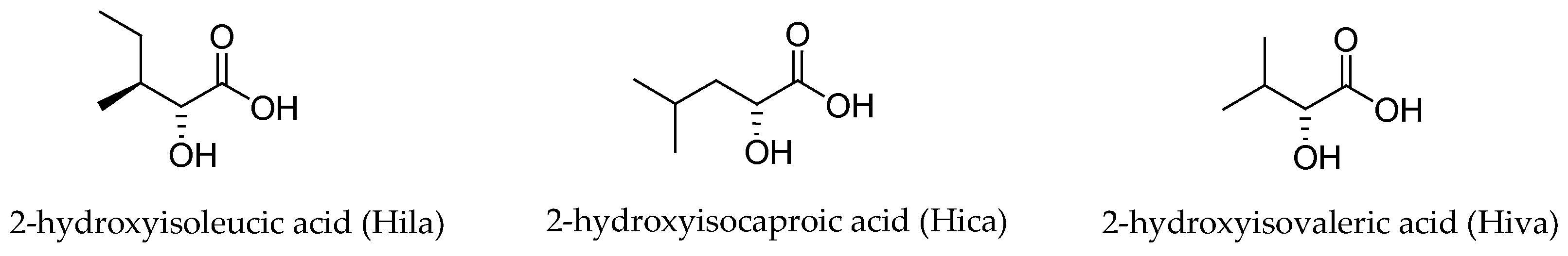 Marinedrugs 19 00055 g002