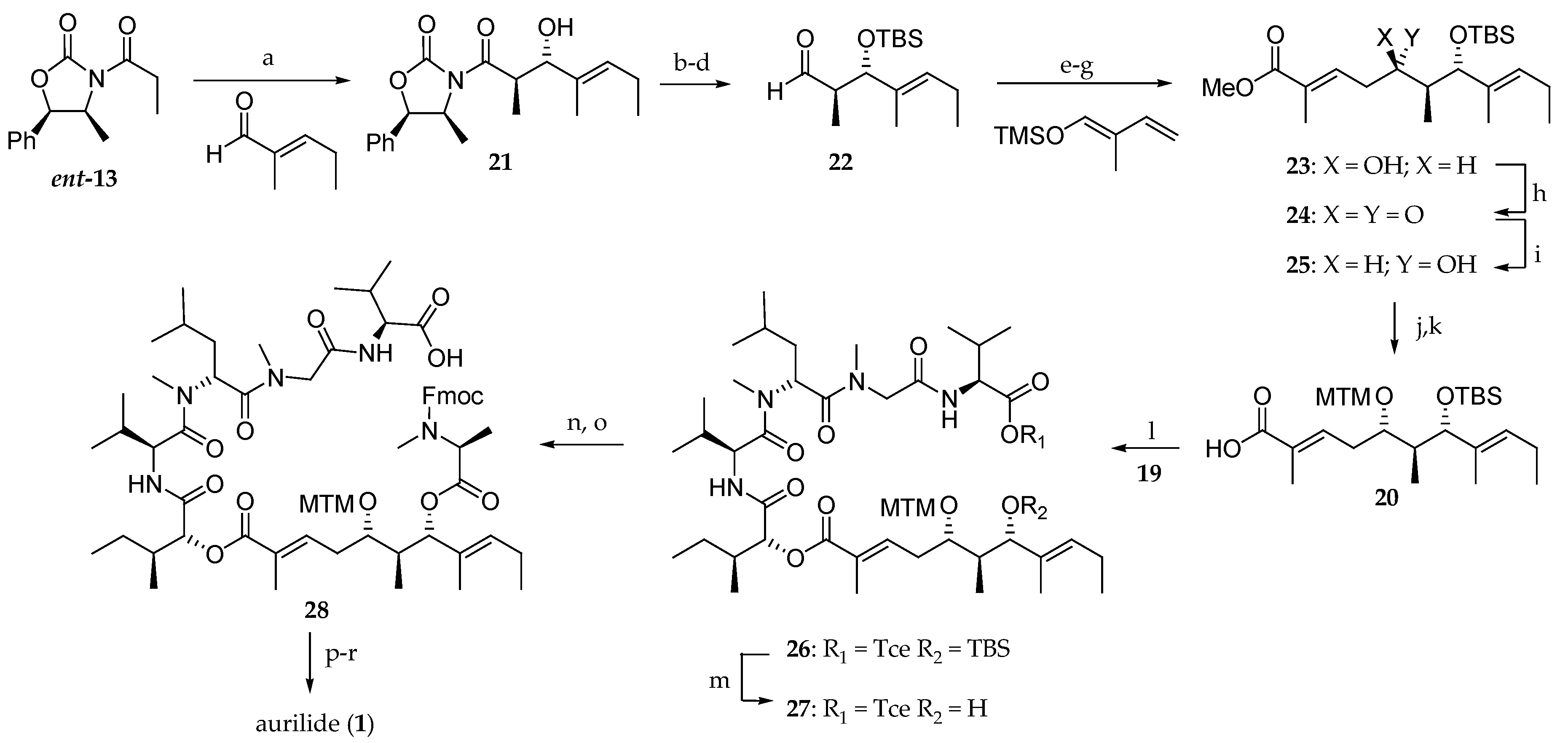 Marinedrugs 19 00055 sch003