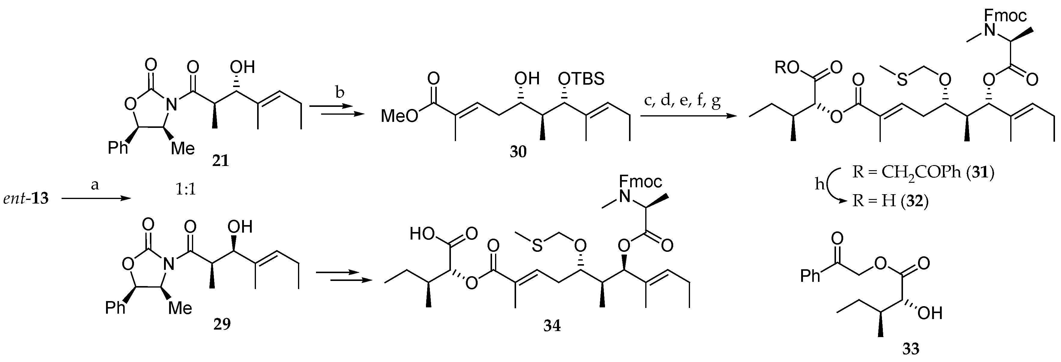 Marinedrugs 19 00055 sch005