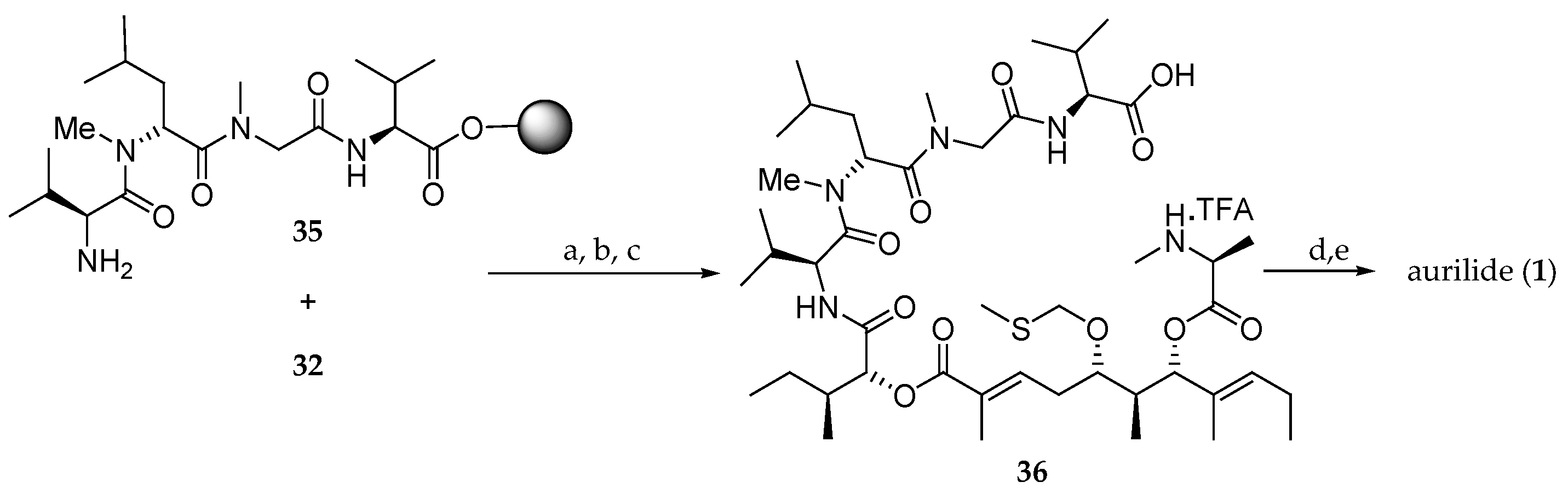 Marinedrugs 19 00055 sch006