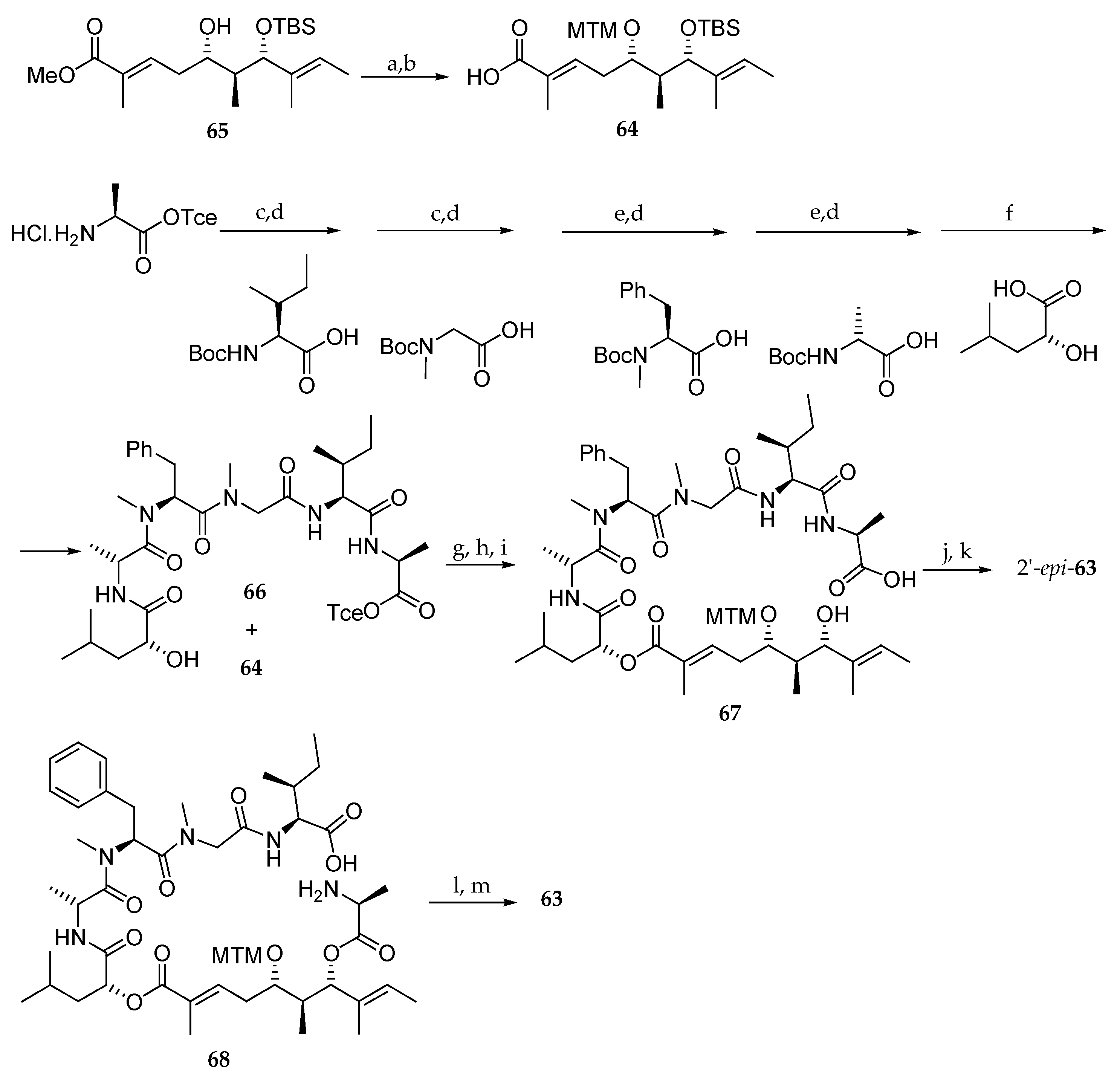 Marinedrugs 19 00055 sch012