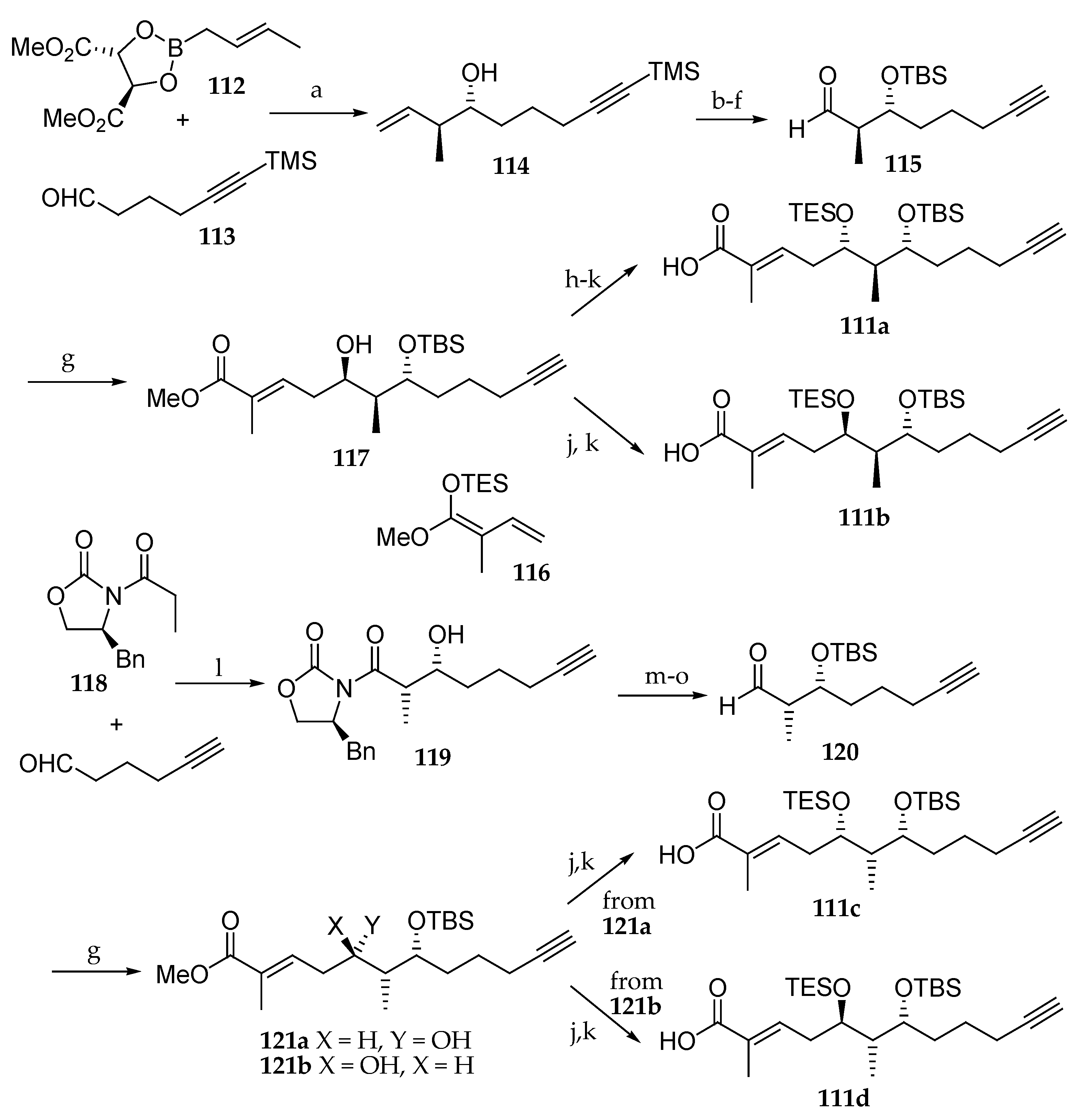Marinedrugs 19 00055 sch017