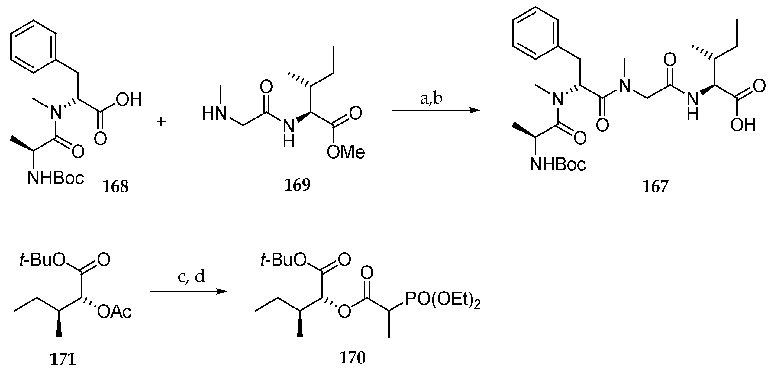 Marinedrugs 19 00055 sch023
