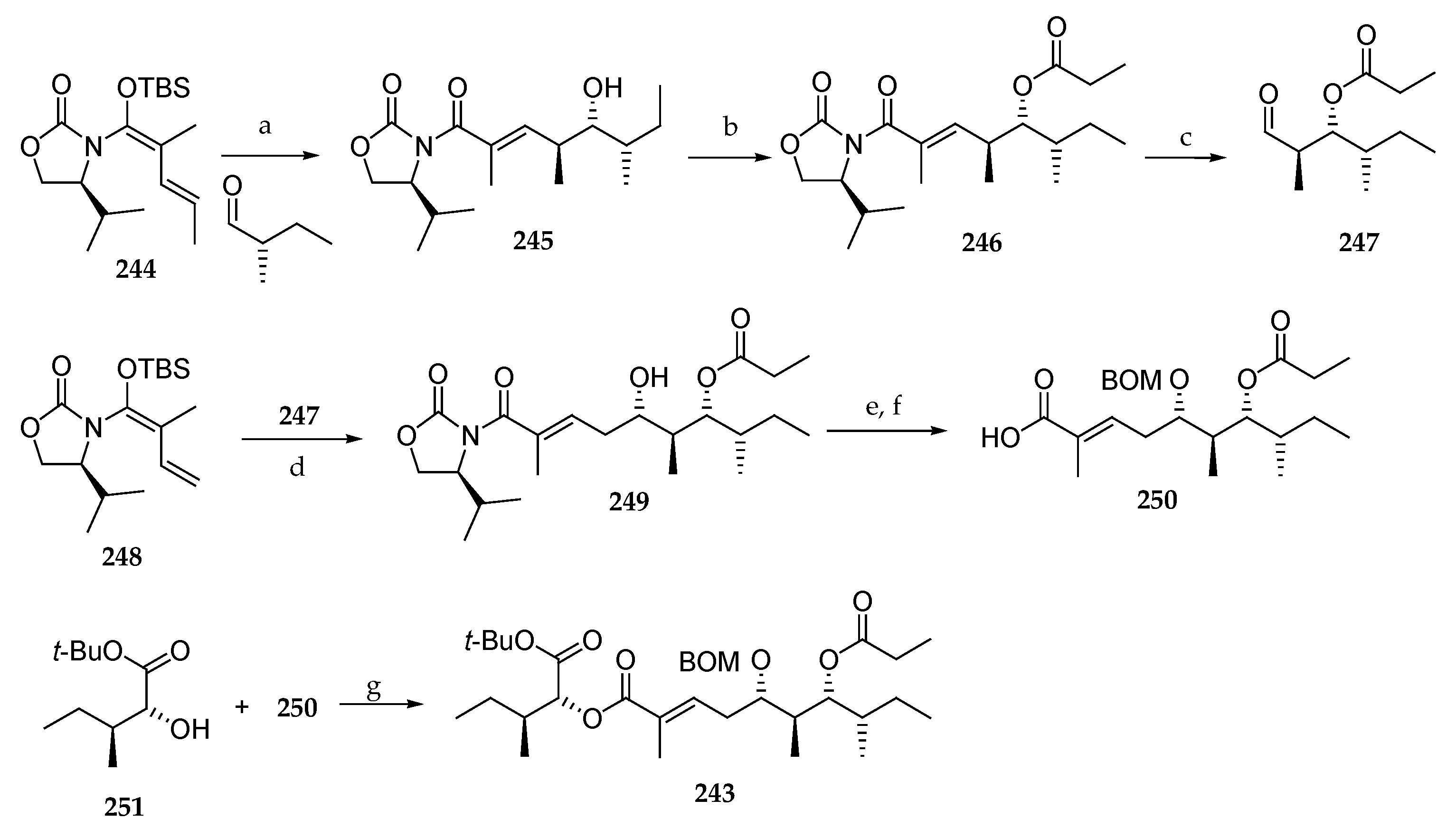 Marinedrugs 19 00055 sch035