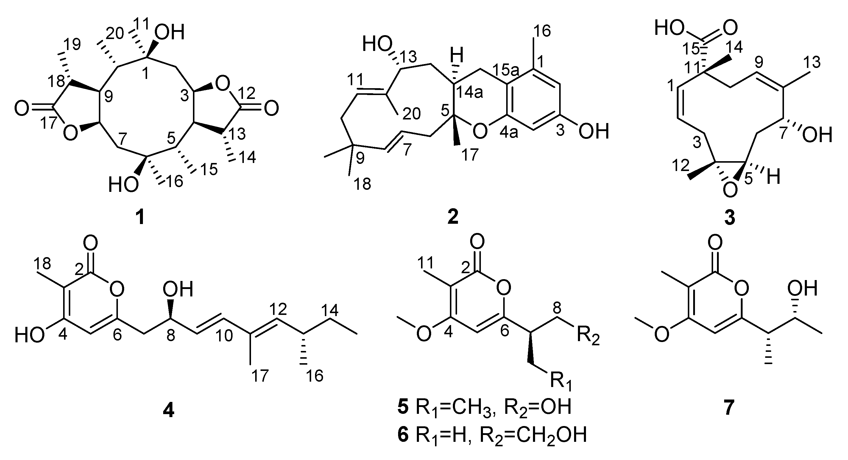 Marinedrugs 19 00056 g001