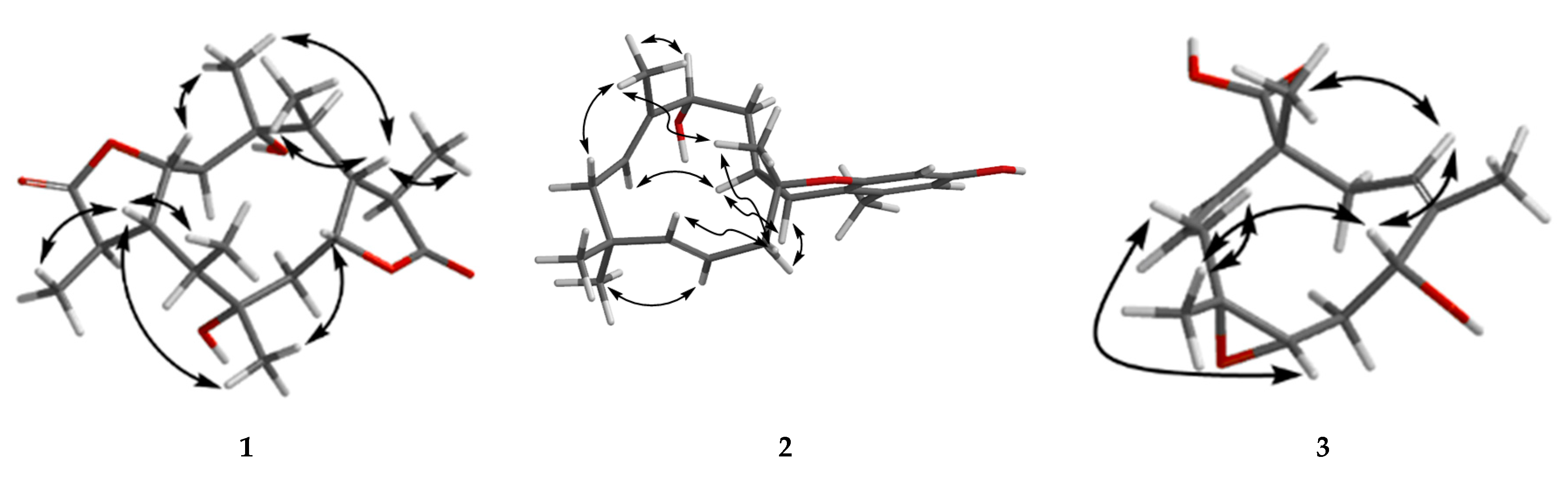 Marinedrugs 19 00056 g003