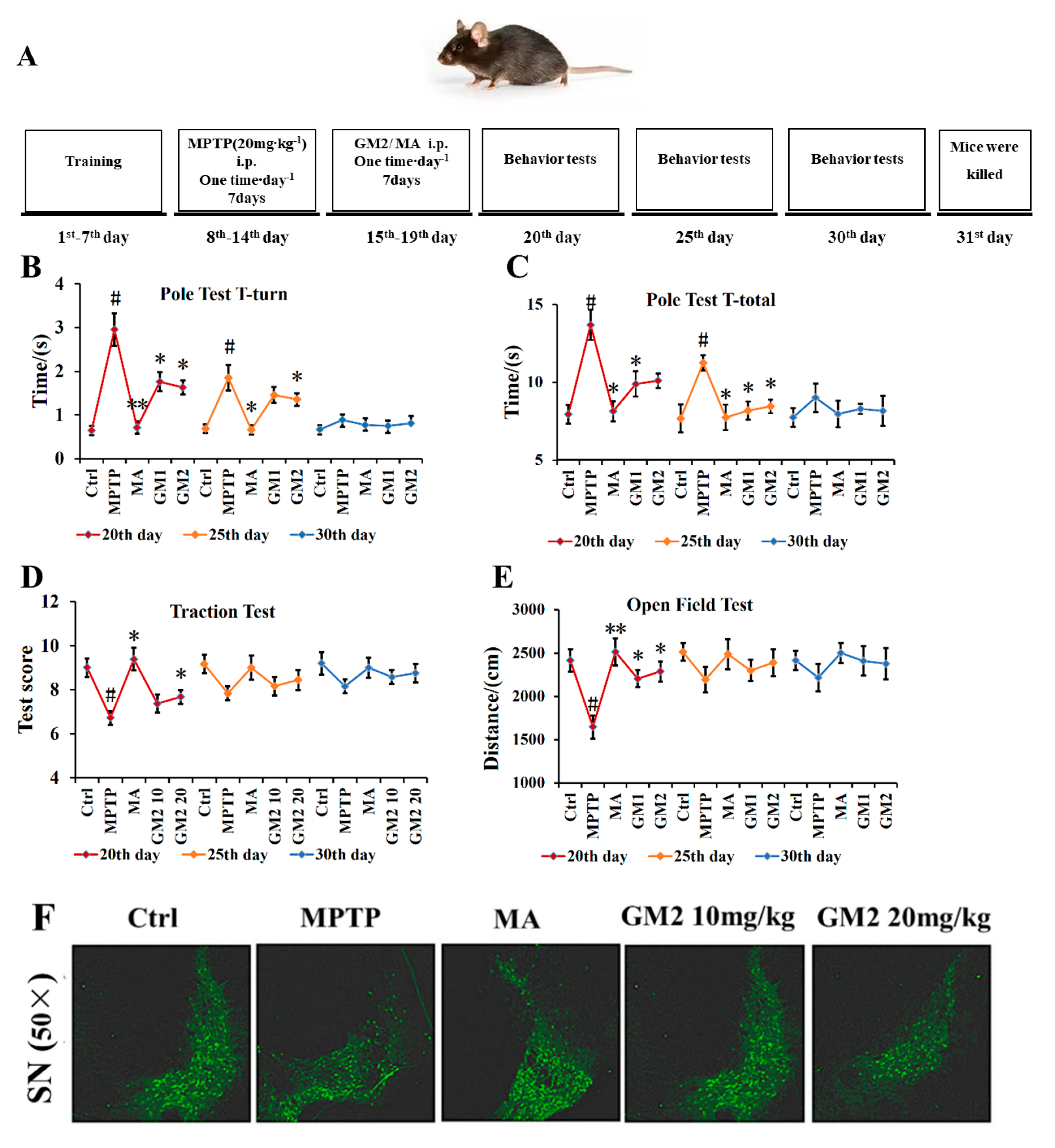 Marinedrugs 19 00058 g006