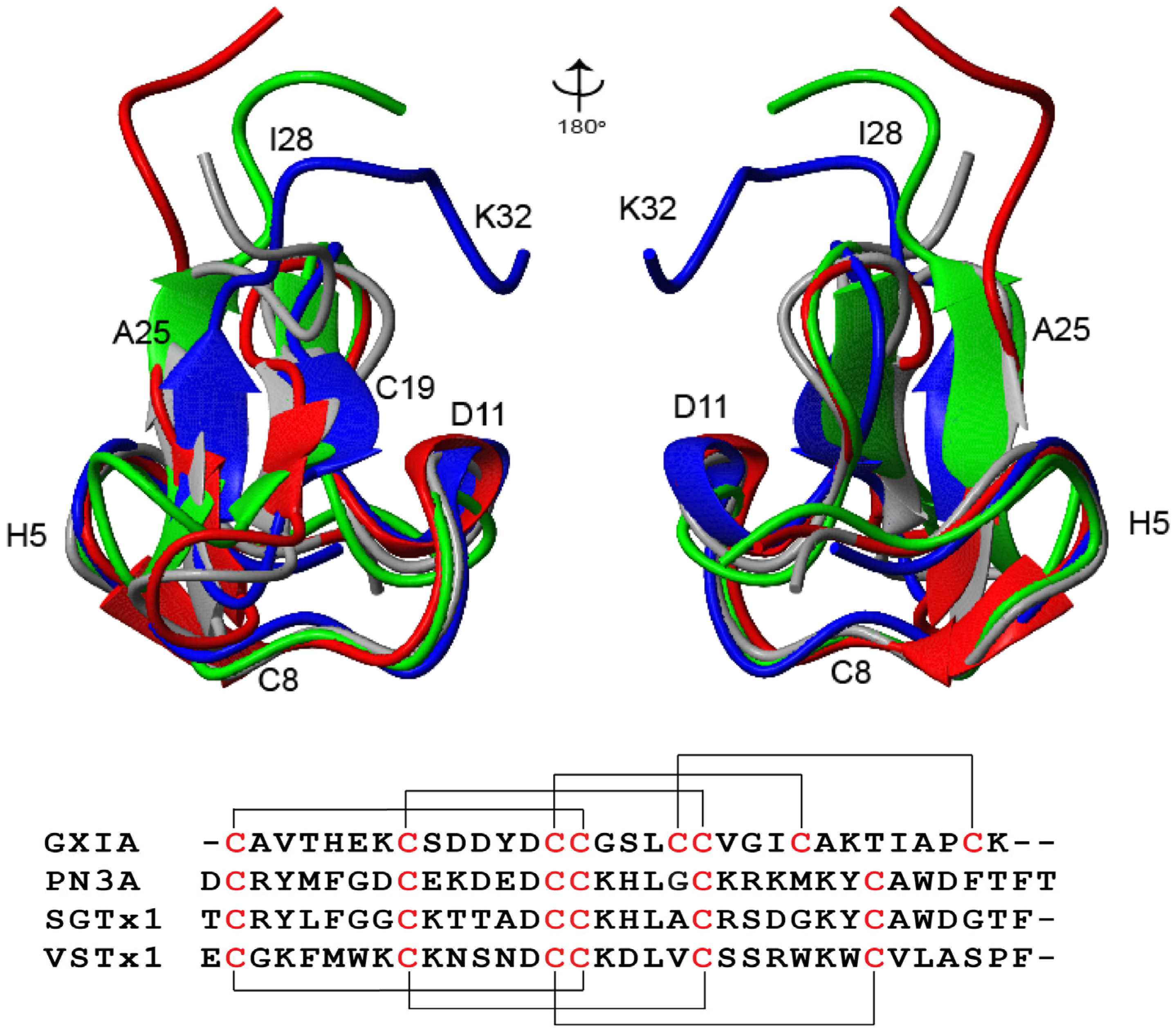 Marinedrugs 19 00060 g006 Marinedrugs 19 00060 g006