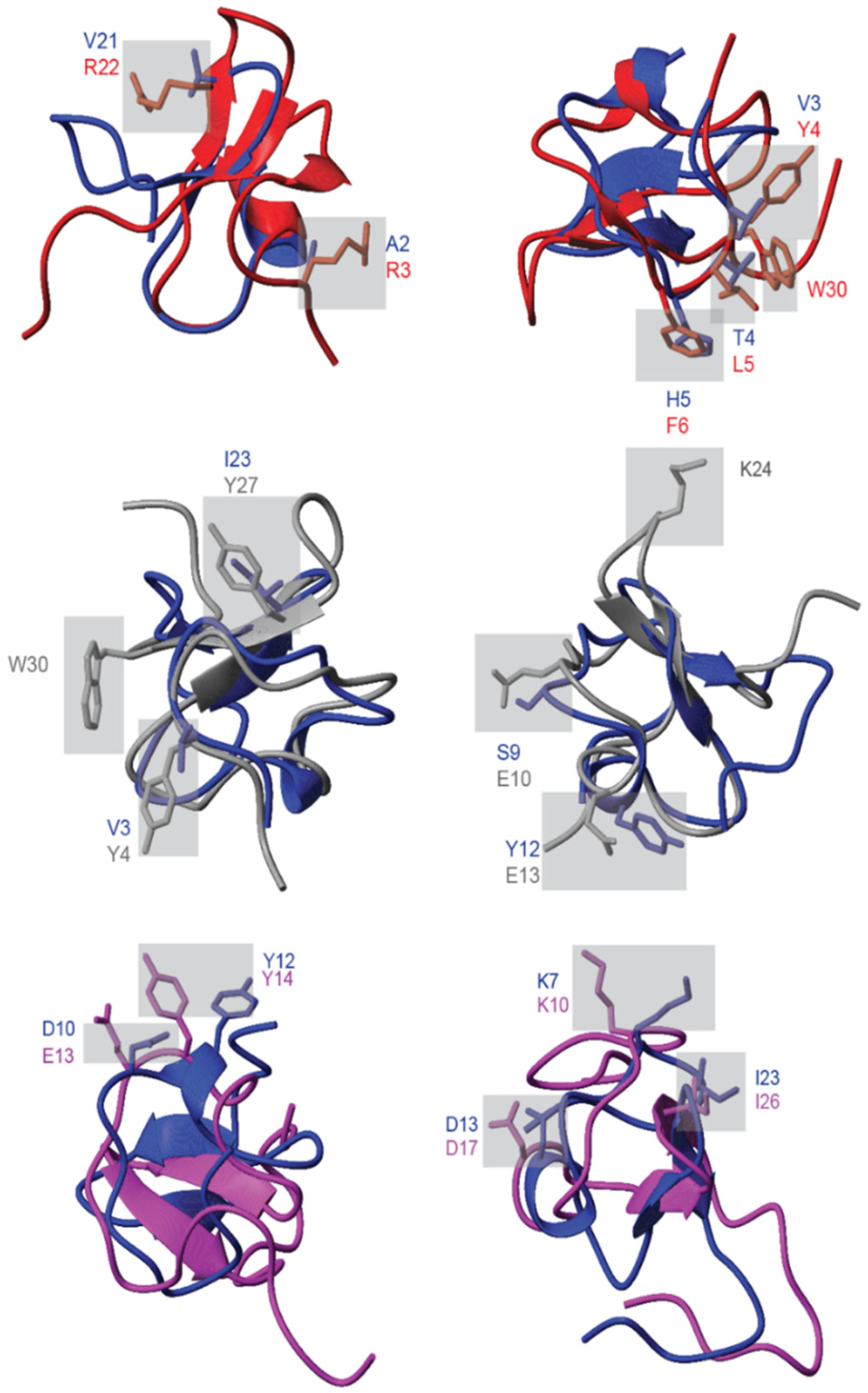 Marinedrugs 19 00060 g008 Marinedrugs 19 00060 g008