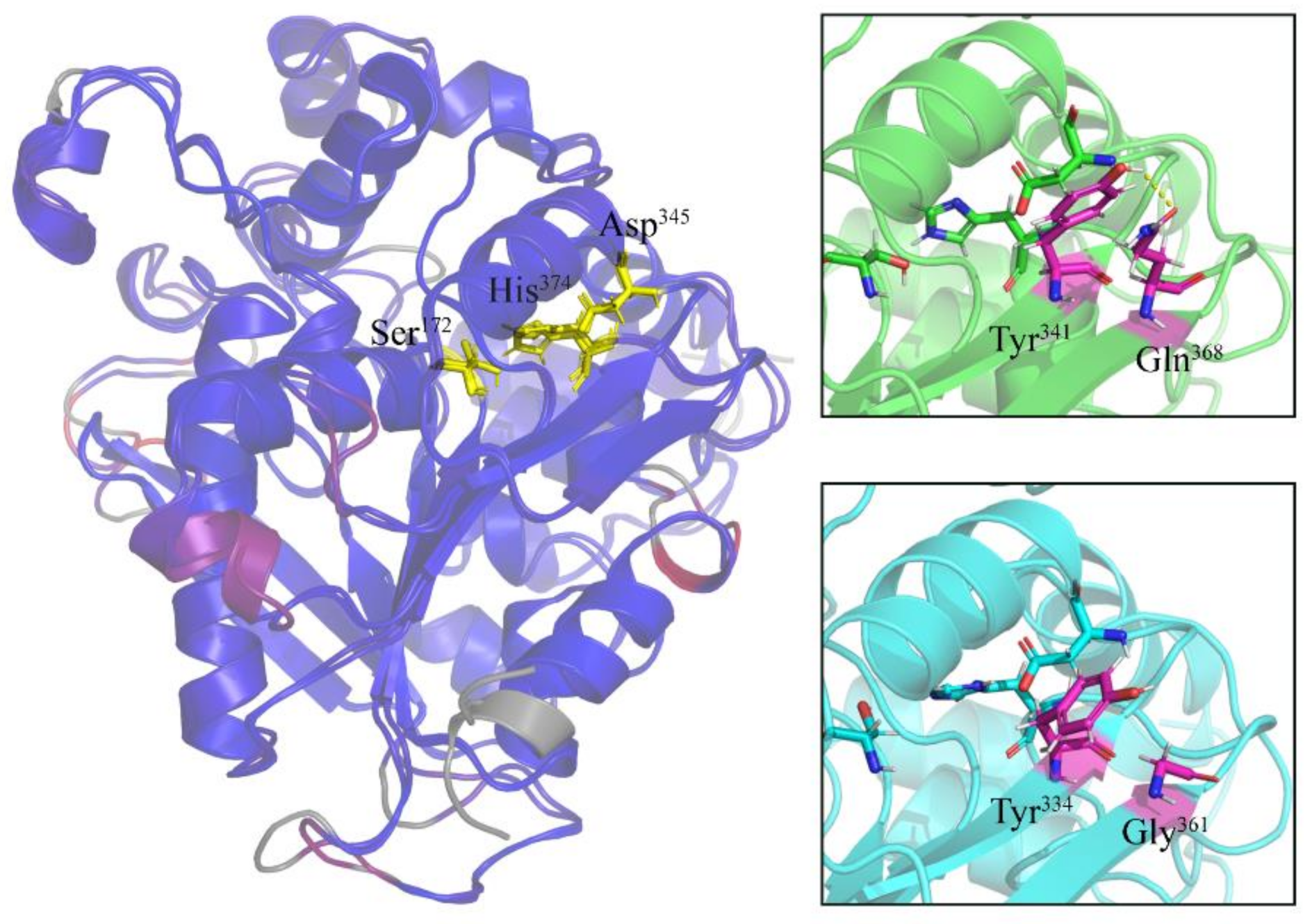 Marinedrugs 19 00067 g003 Marinedrugs 19 00067 g003