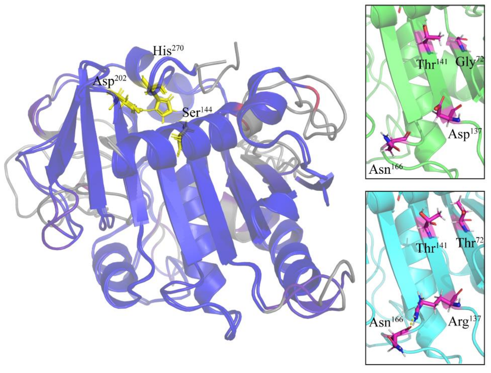 Marinedrugs 19 00067 g004 Marinedrugs 19 00067 g004