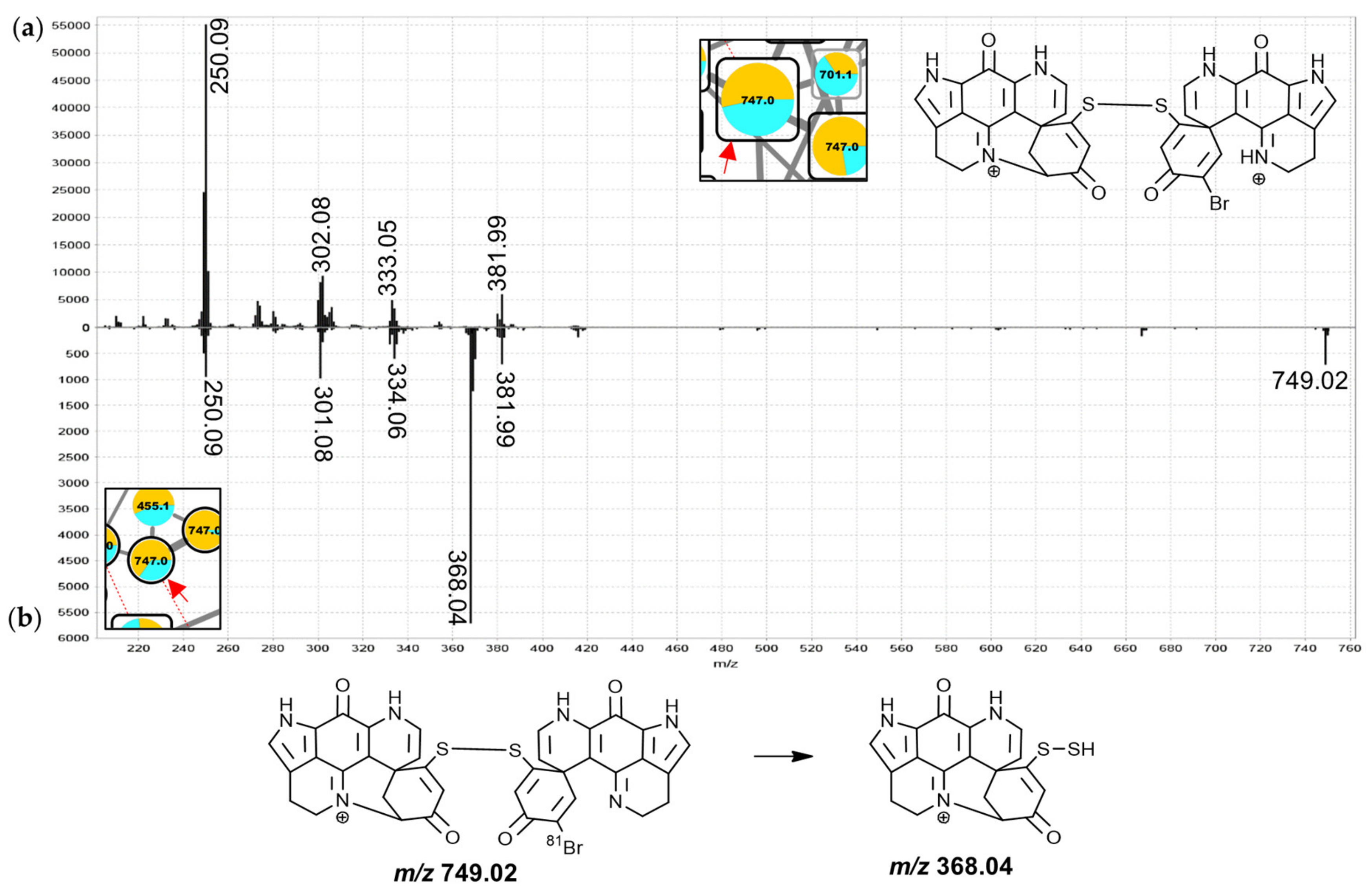 Marinedrugs 19 00068 g012