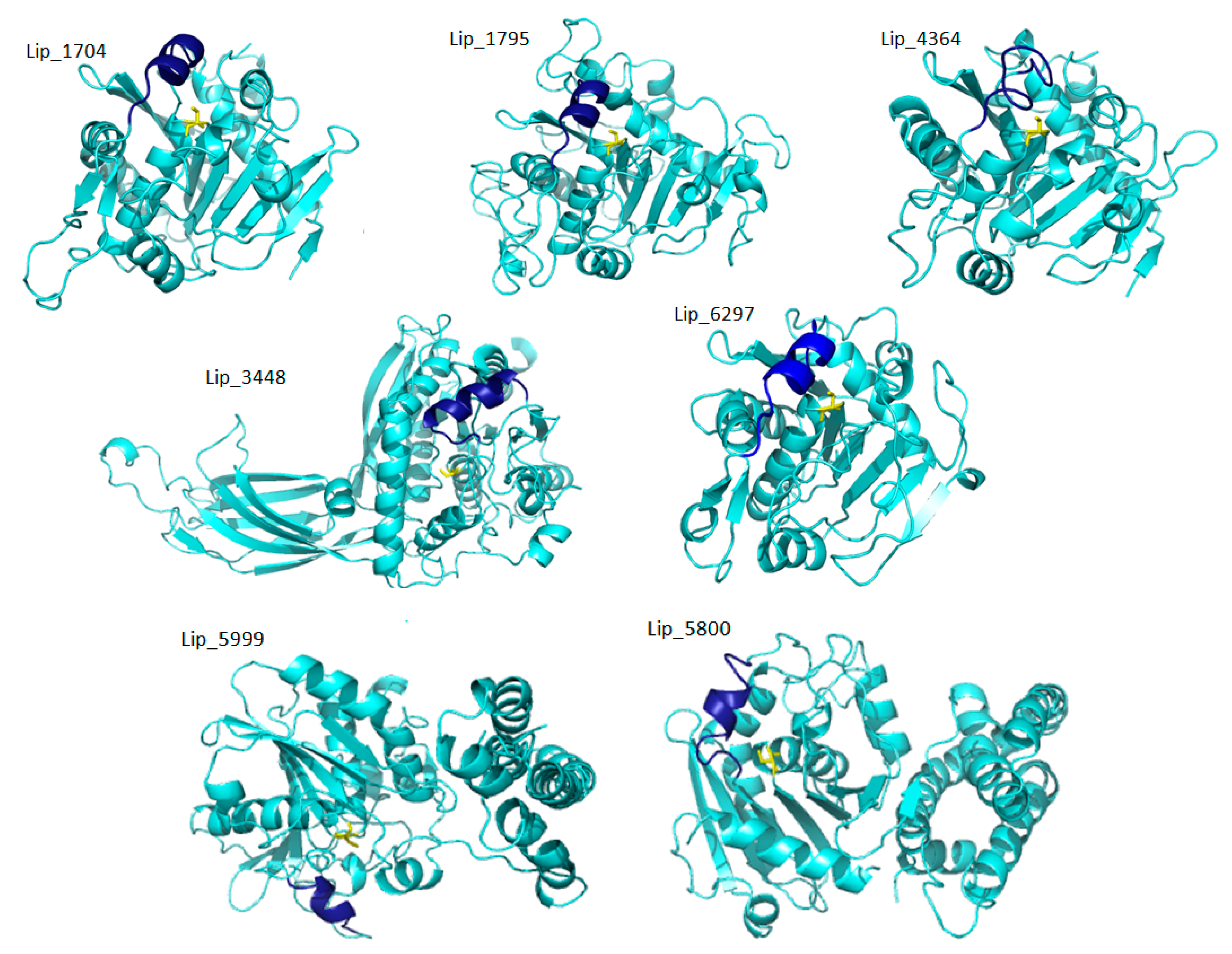 Marinedrugs 19 00070 g001