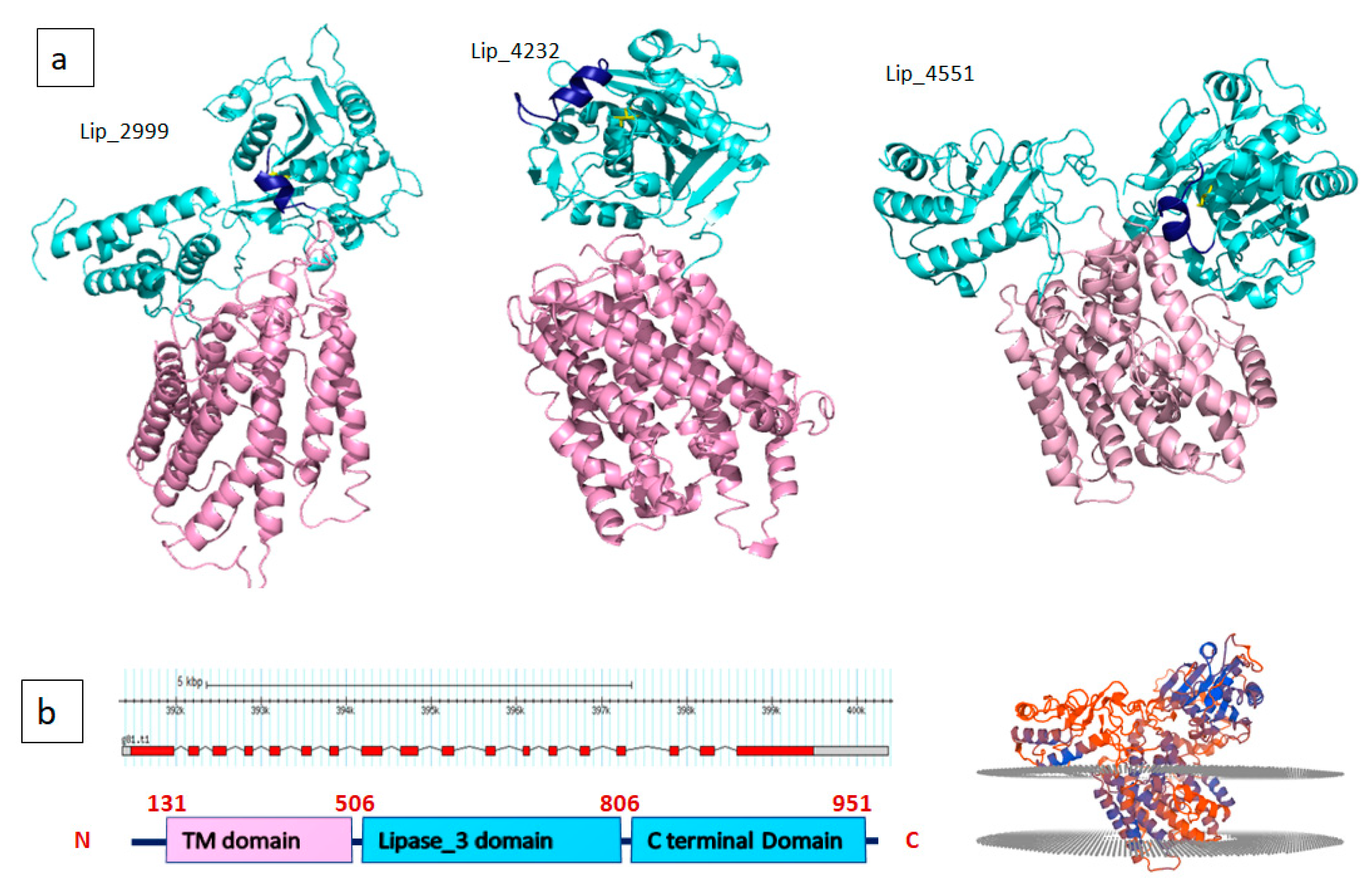 Marinedrugs 19 00070 g002