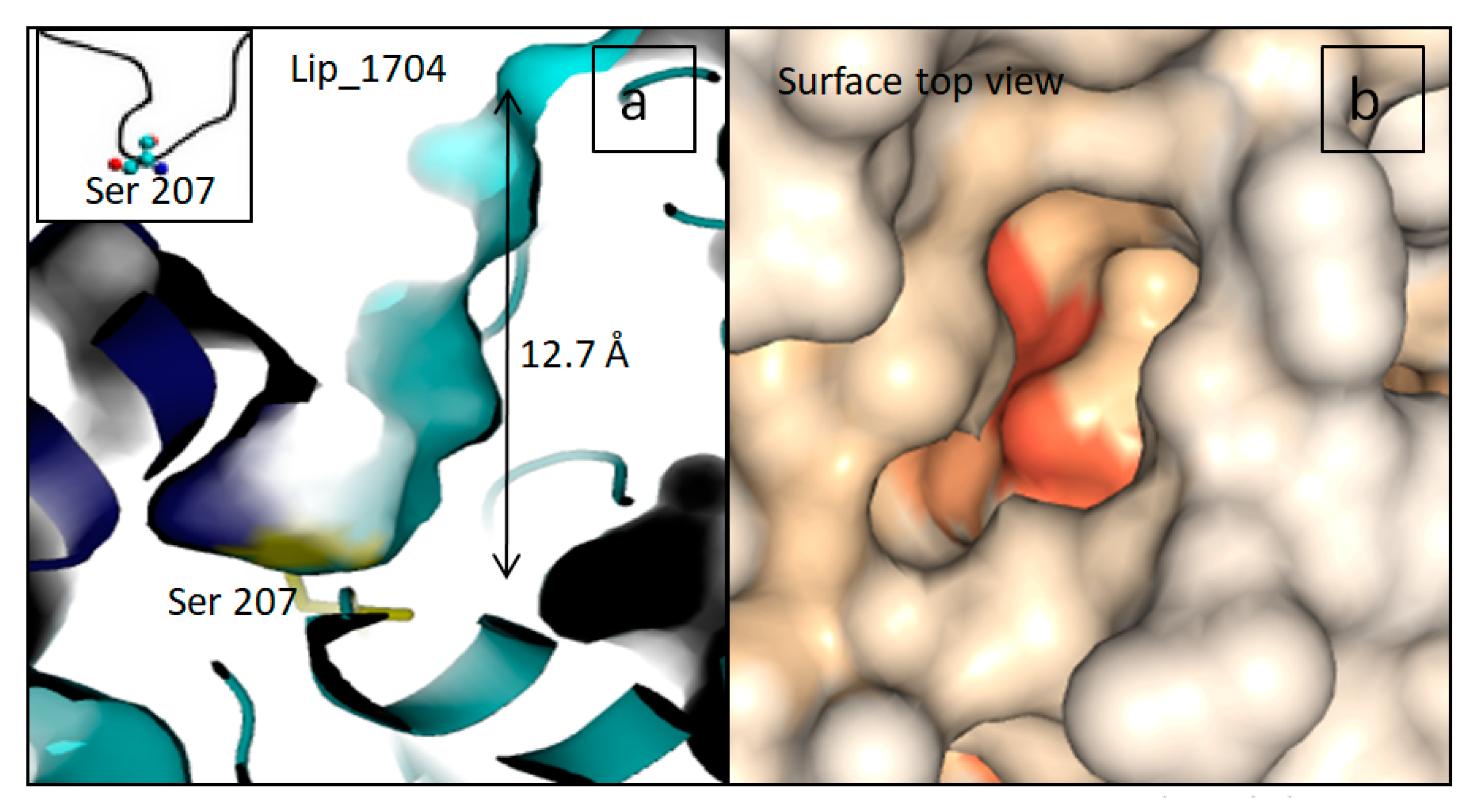 Marinedrugs 19 00070 g004