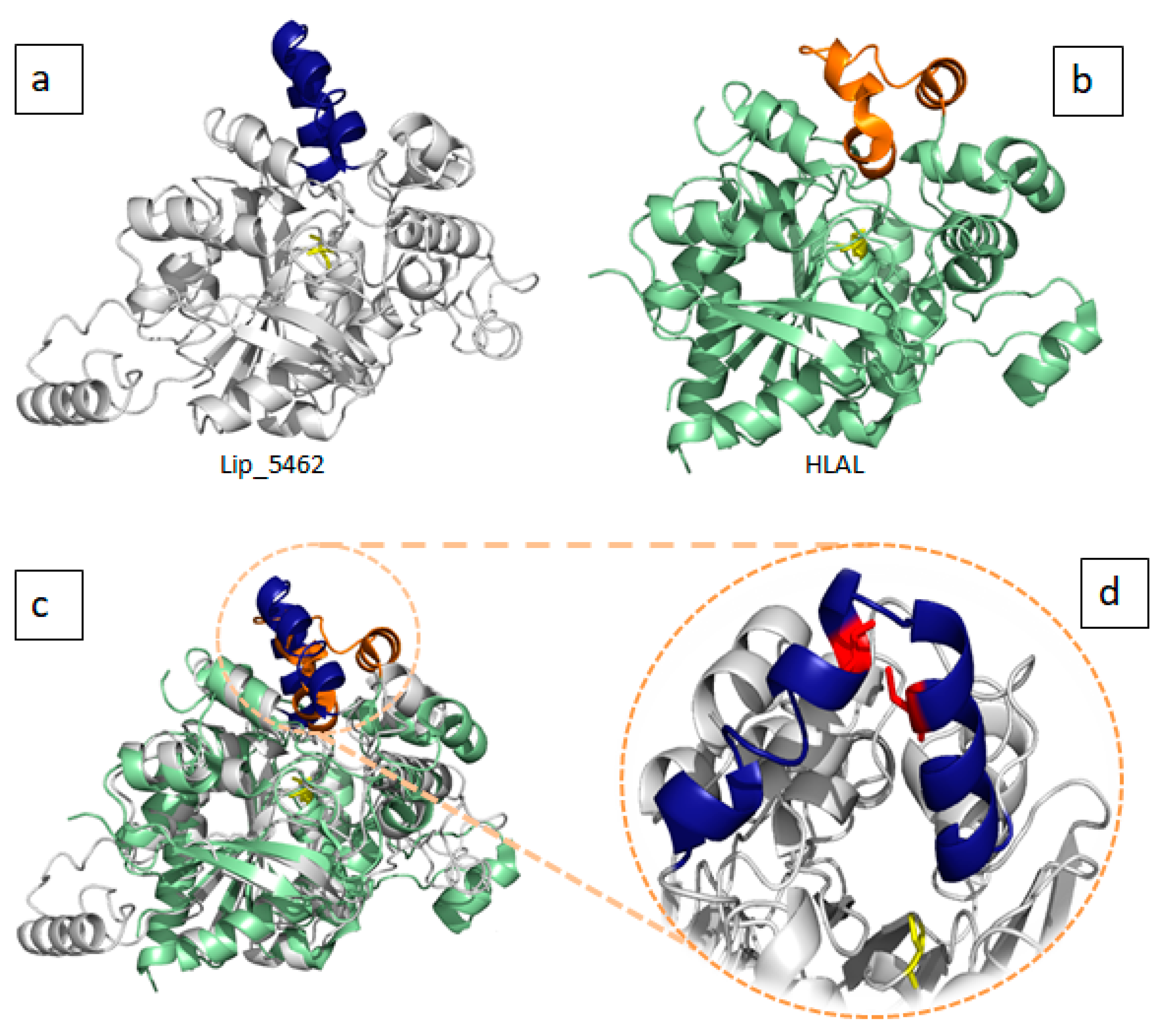 Marinedrugs 19 00070 g005